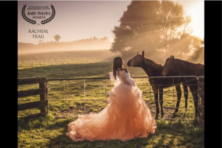 Young girl in a white and peach princess dress standing by a fence in a grassy field with two horses, with trees and sunlight in the background.