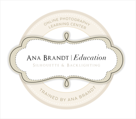 Logo for Ana Brandt Education, an online photography learning center, with a beige and black color scheme and decorative border.