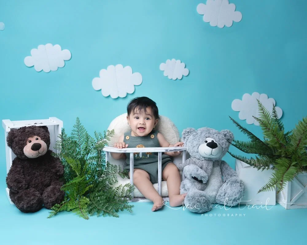 family photographer Auckland