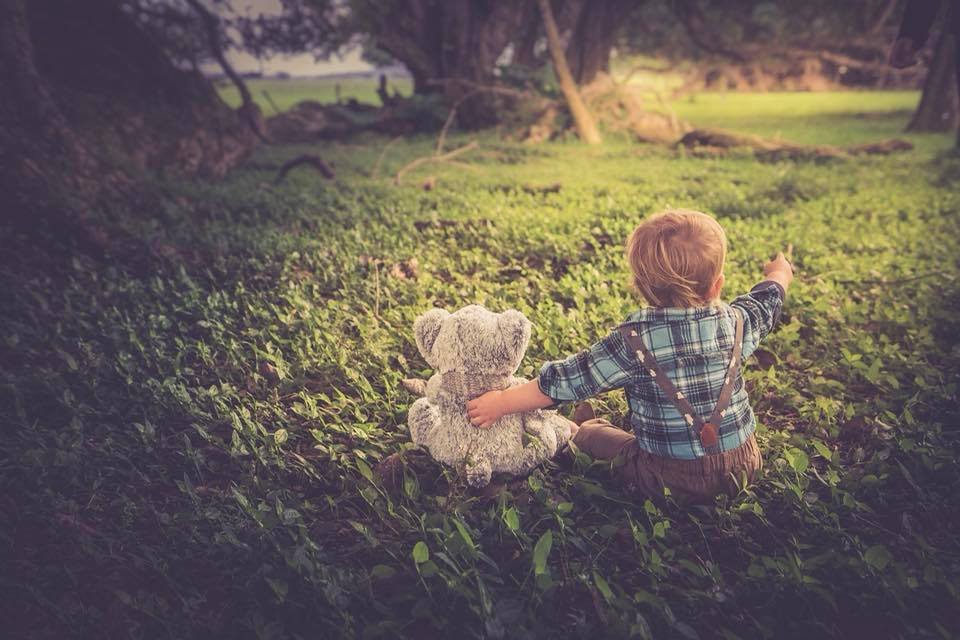 family photographer Auckland