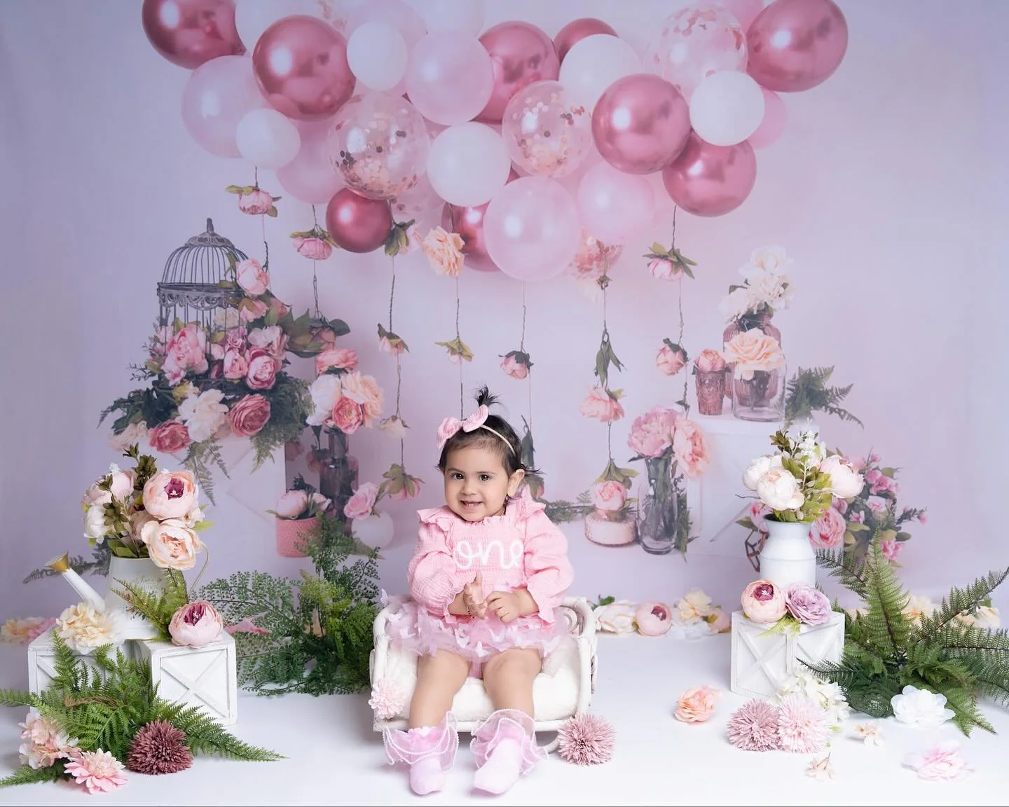 family photographer Auckland