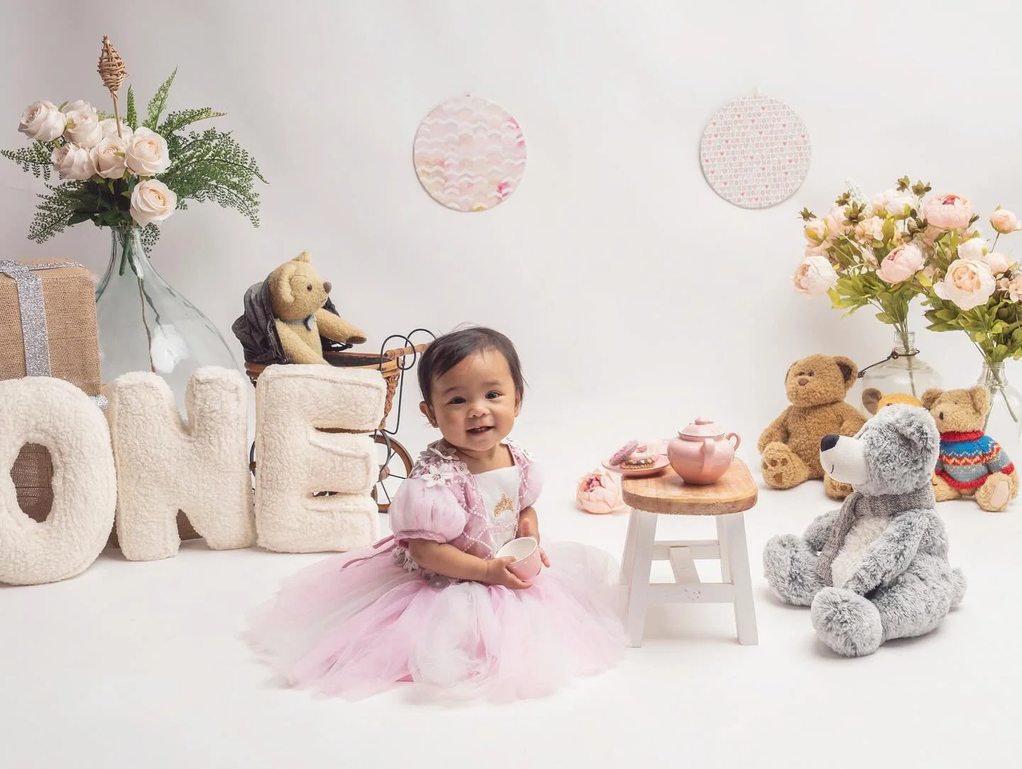 family photographer Auckland