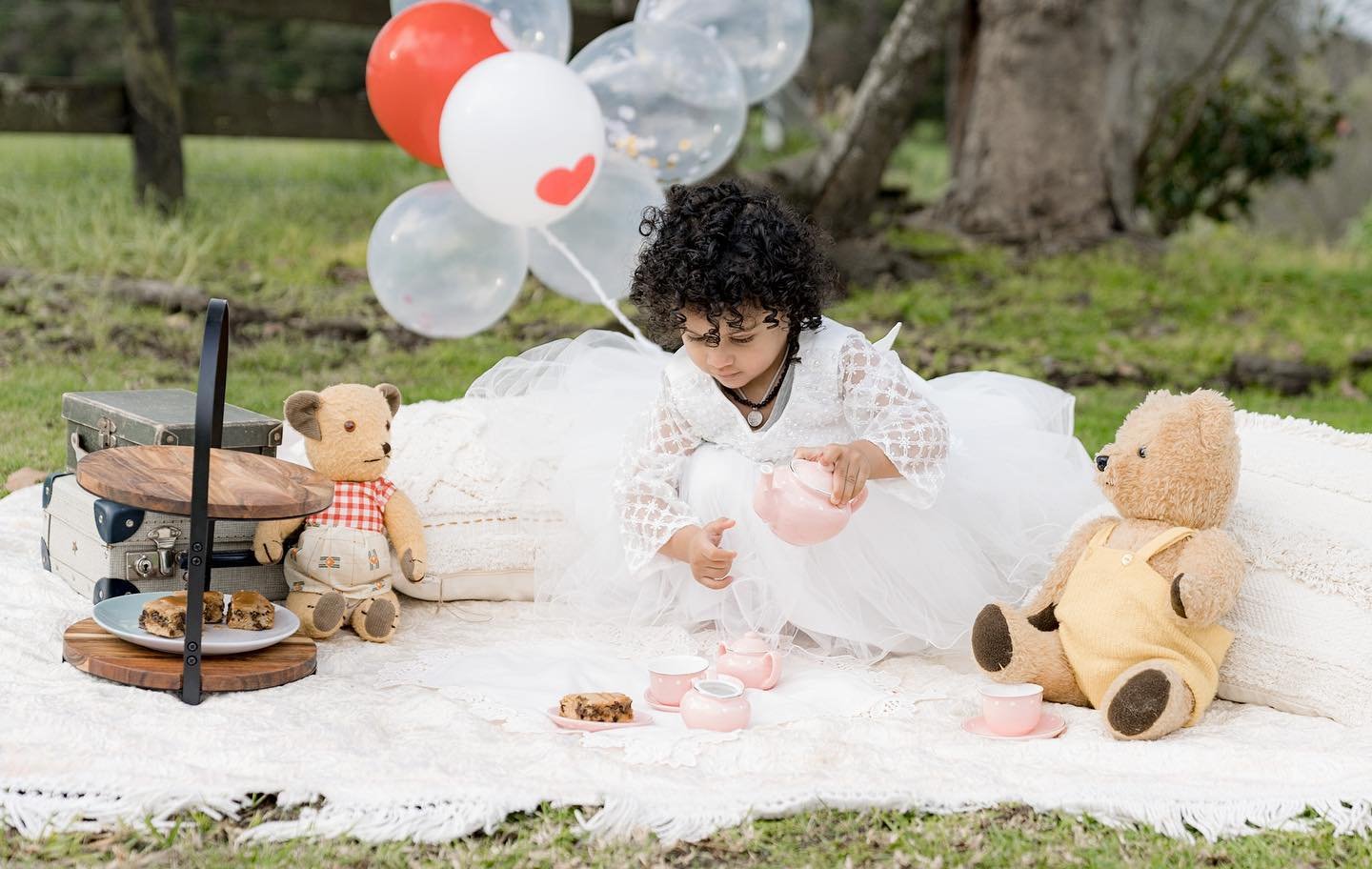 family photographer Auckland
