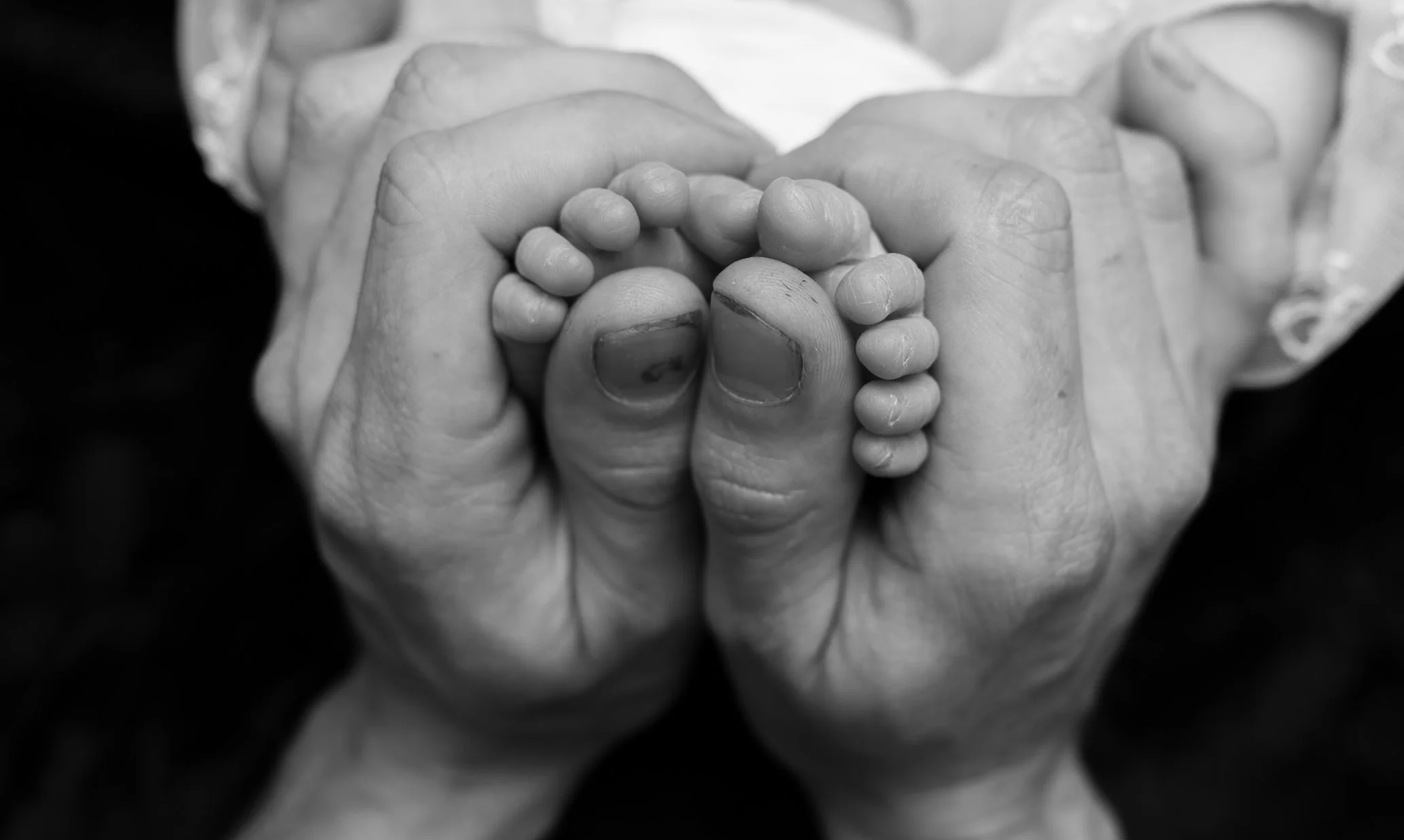 auckland newborn photographer