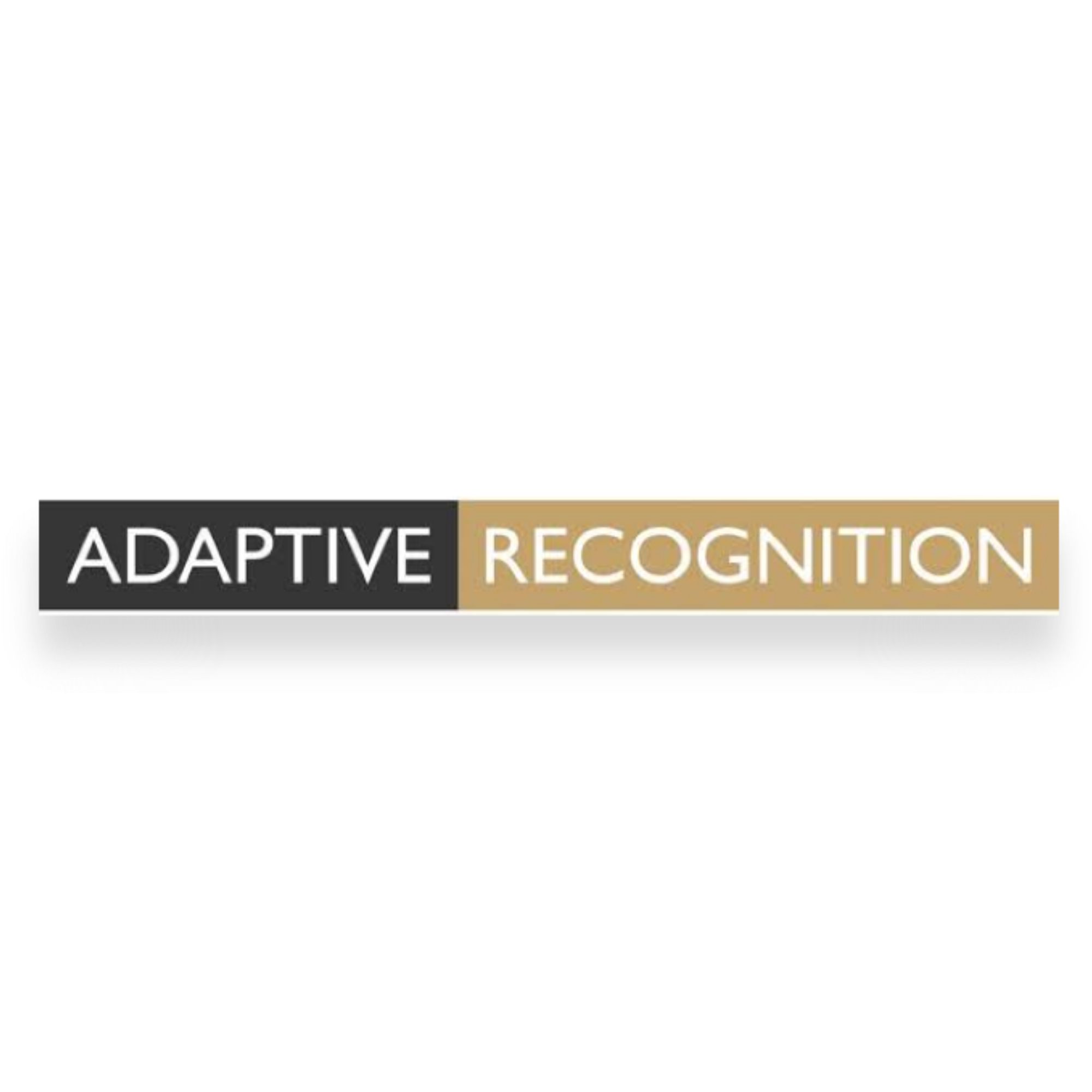 Text reading 'ADAPTIVE RECOGNITION' with 'ADAPTIVE' in white on a black background and 'RECOGNITION' in white on a gold background, with a shadow effect below