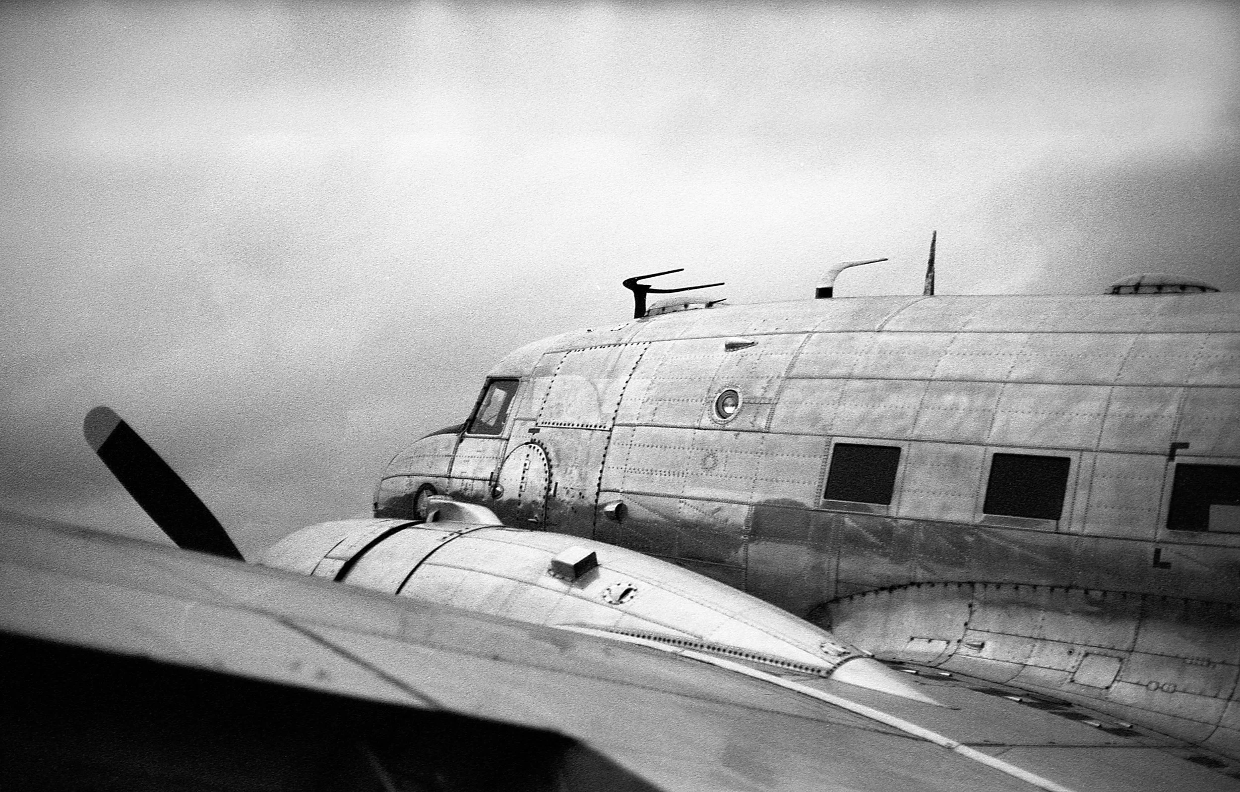 Linköping Frida 20250713_0067-Edit.jpg