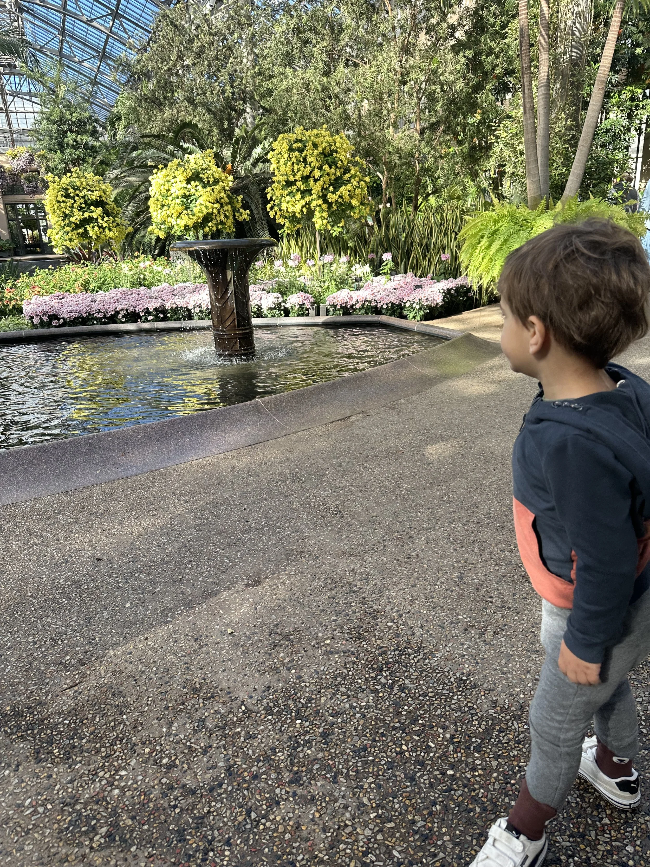 2025 travel year reflections