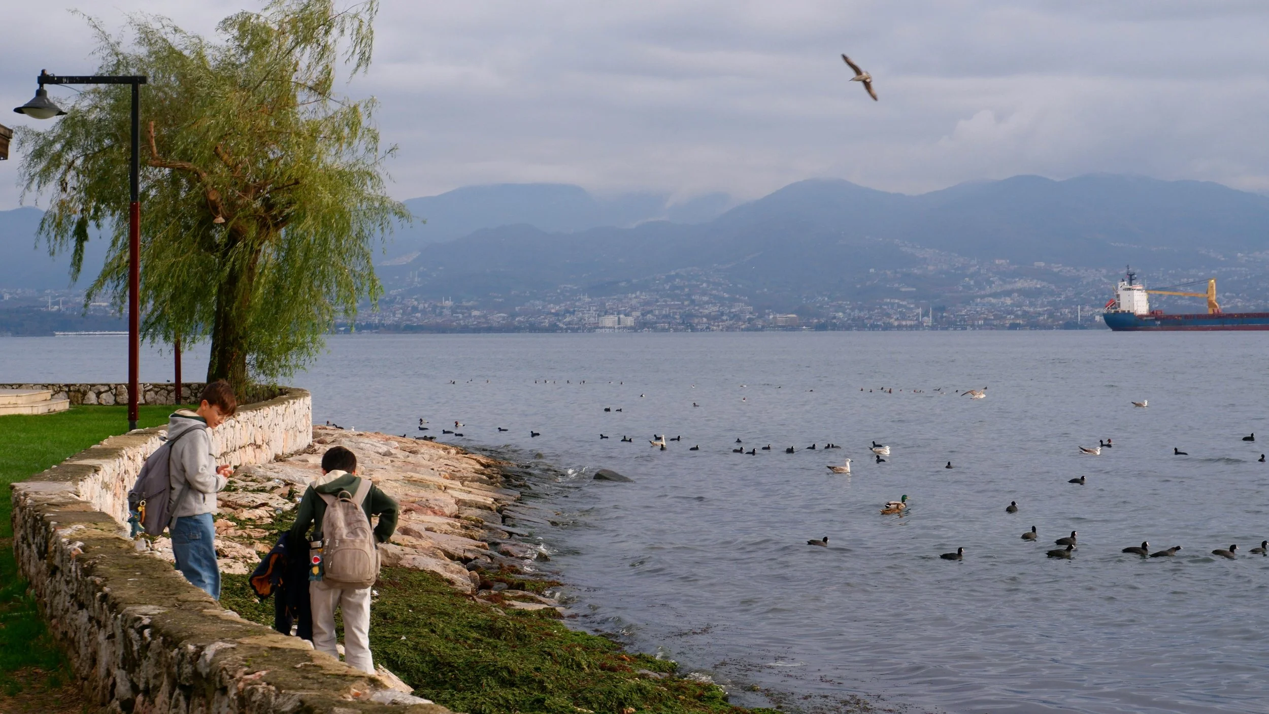 planning your year of travel