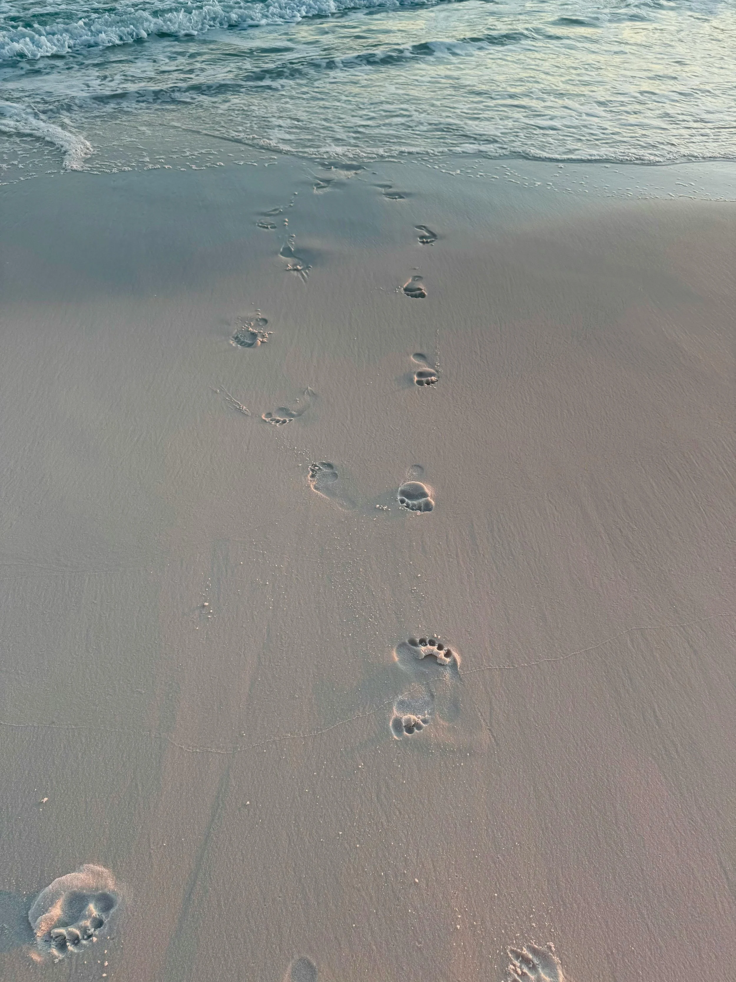 our fav Florida beaches 