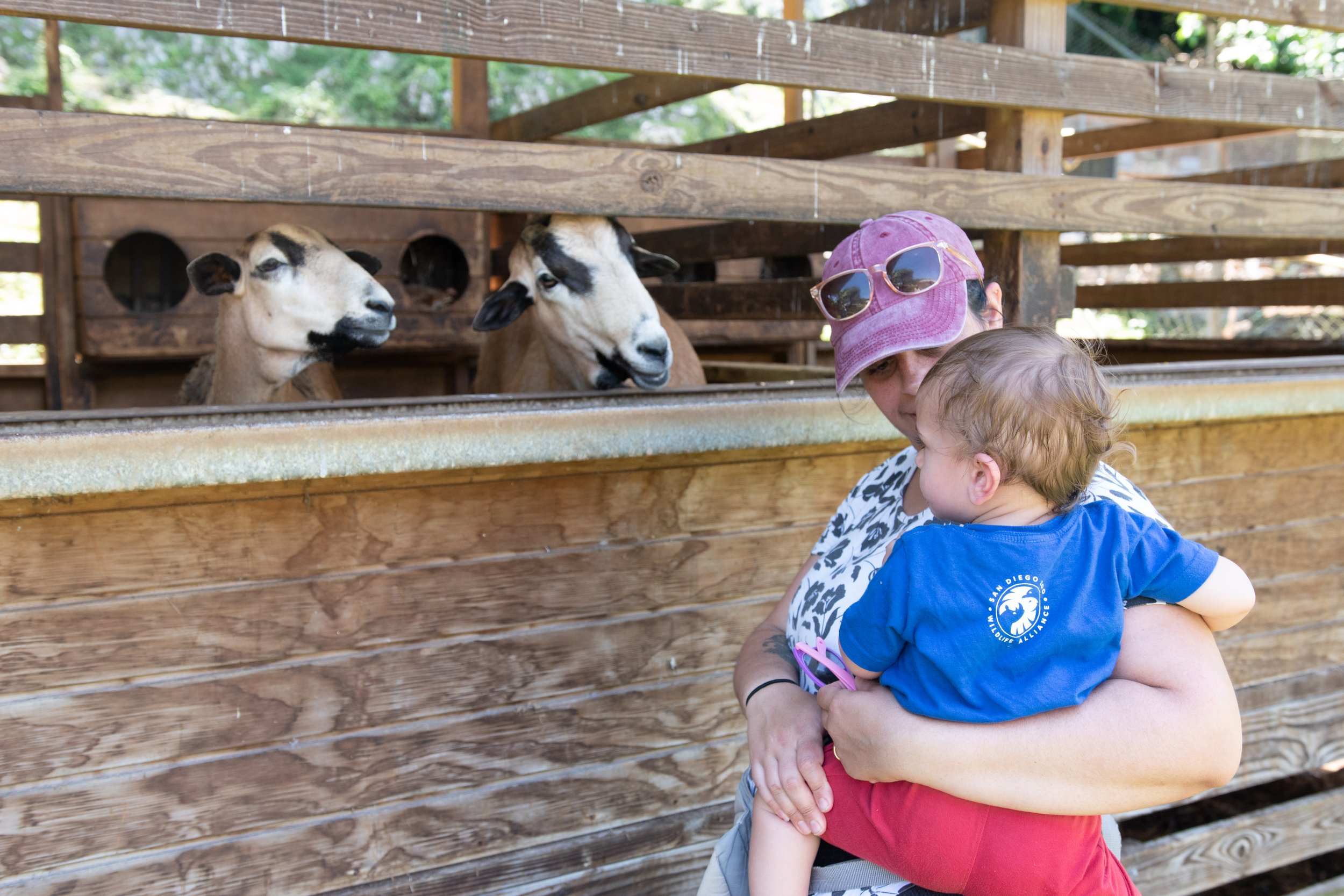 advice for moms traveling with kids (for the first time!)