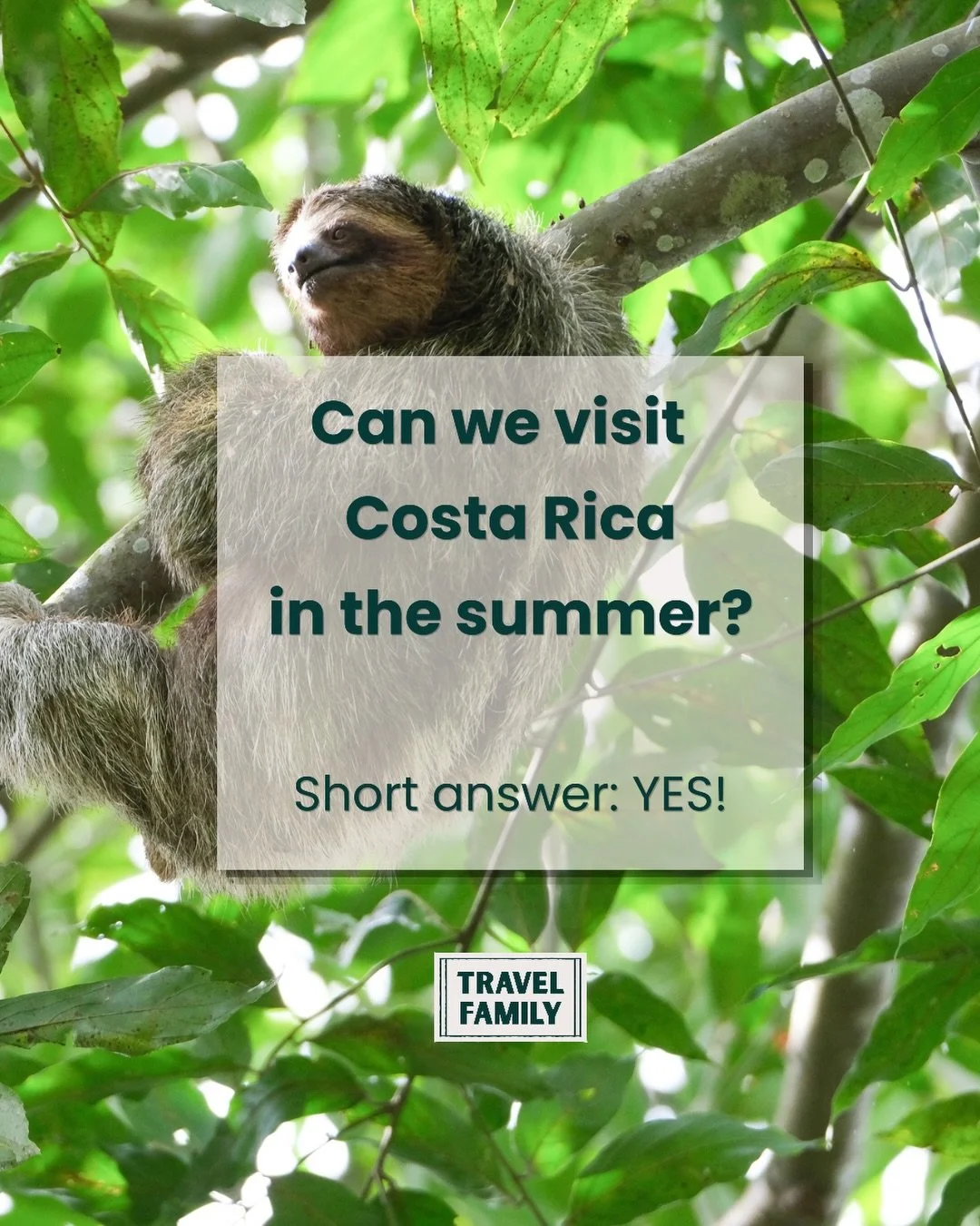 Think Costa Rica is only a spring and winter destination? 🌿☀️ Summer is actually one of the best times for families to visit.

🐢 Sea turtle nesting season
🐋 Whale watching opportunities
🌴 Fewer crowds and lower prices
☀️ Reasonable weather on the