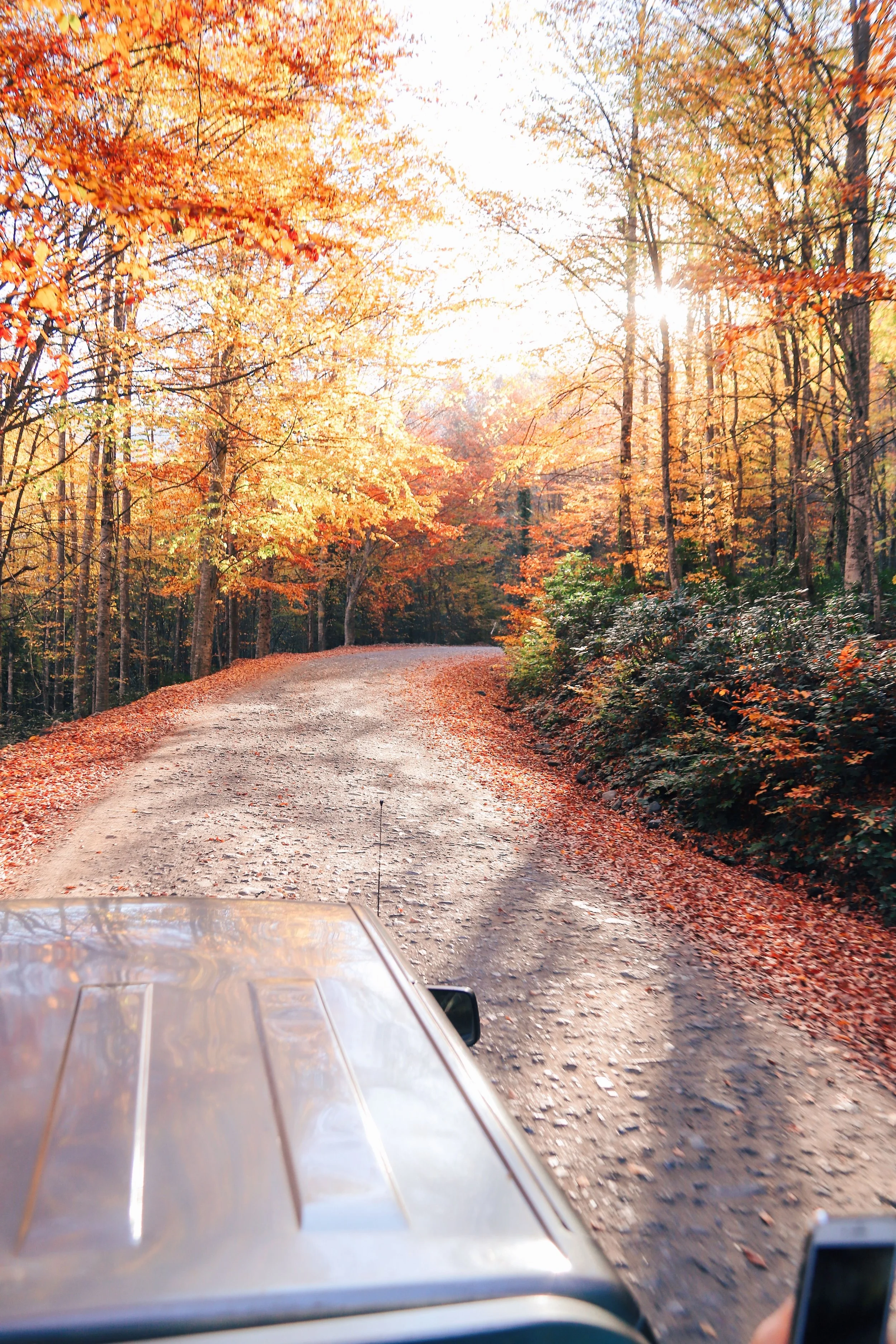 The Ultimate Fall Travel Guide: our Favorite Autumn Destinations from the DC Area