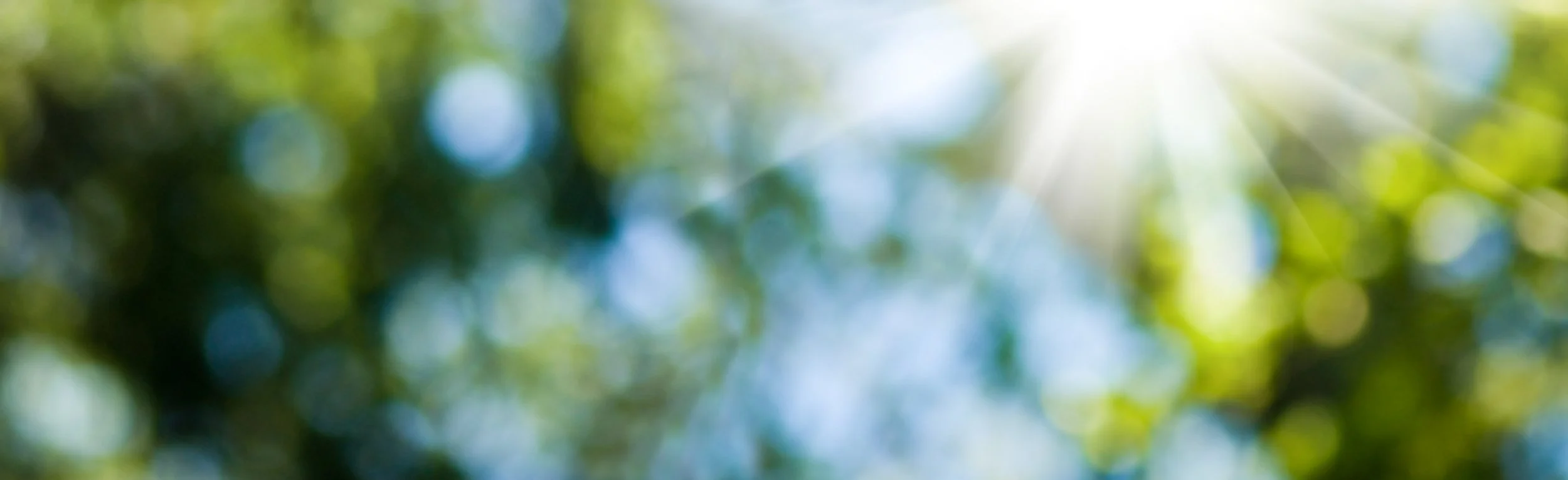 AdobeStock_110964314.jpeg