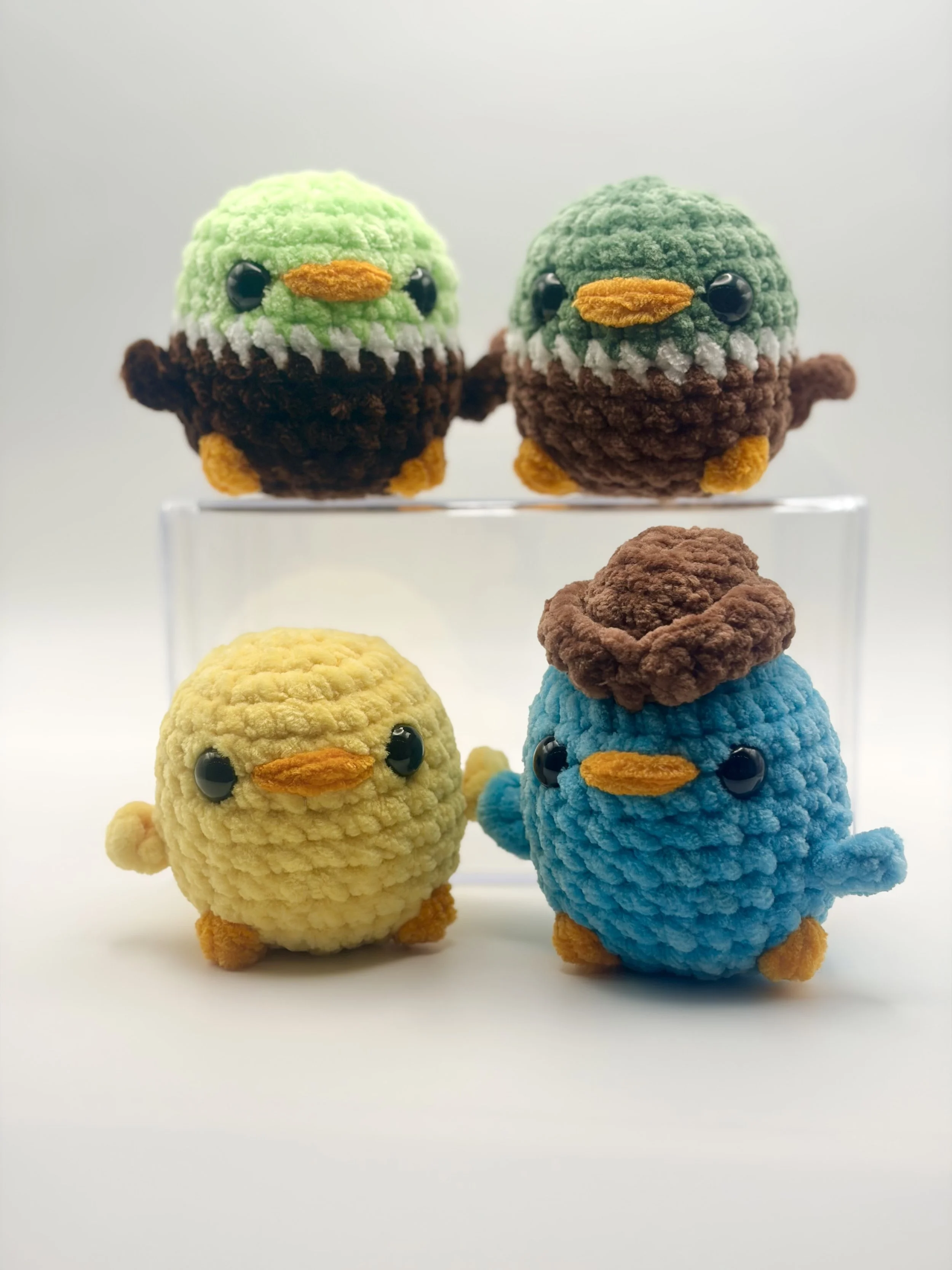 Chubby Birds