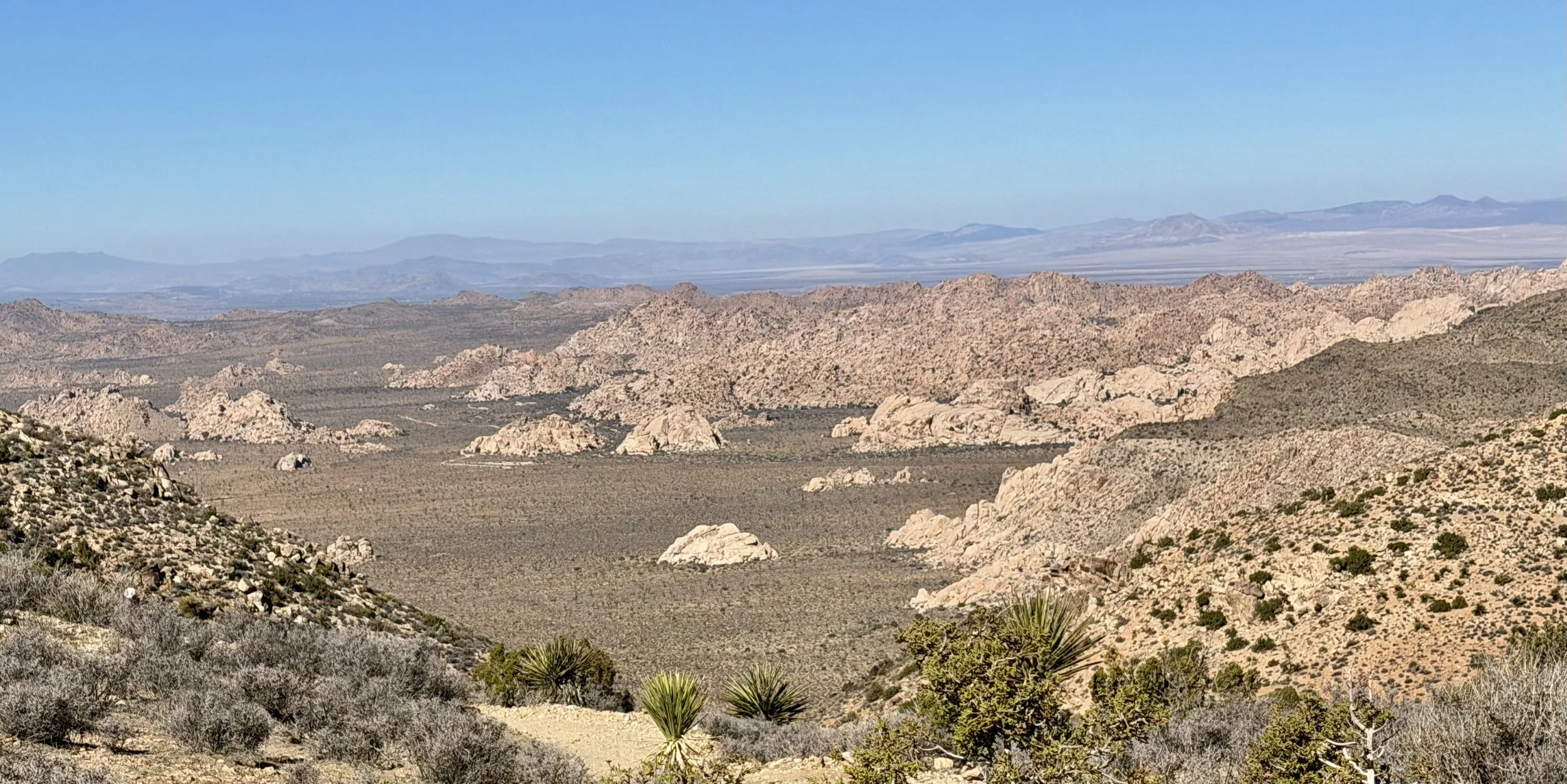 Panoramic view of Joshua Tree National Park desert landscape with rugged rock formations and golden terrain under clear blue sky