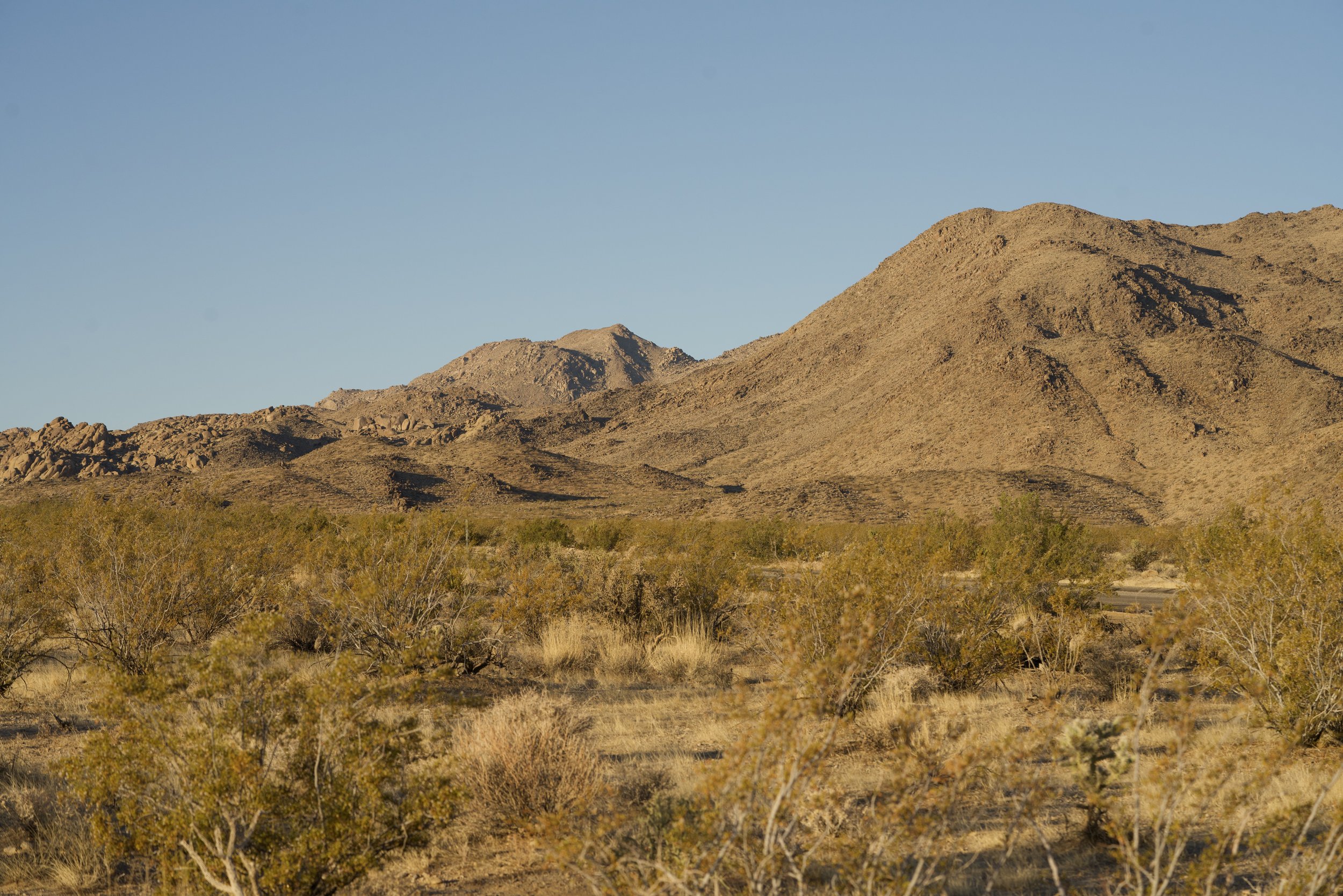 Mojave Desert landscape surrounding the Shadow Wash Pavilion site in Twentynine Palms, California, highlighting native vegetation, mountain views, and the natural setting that shaped the home’s design.