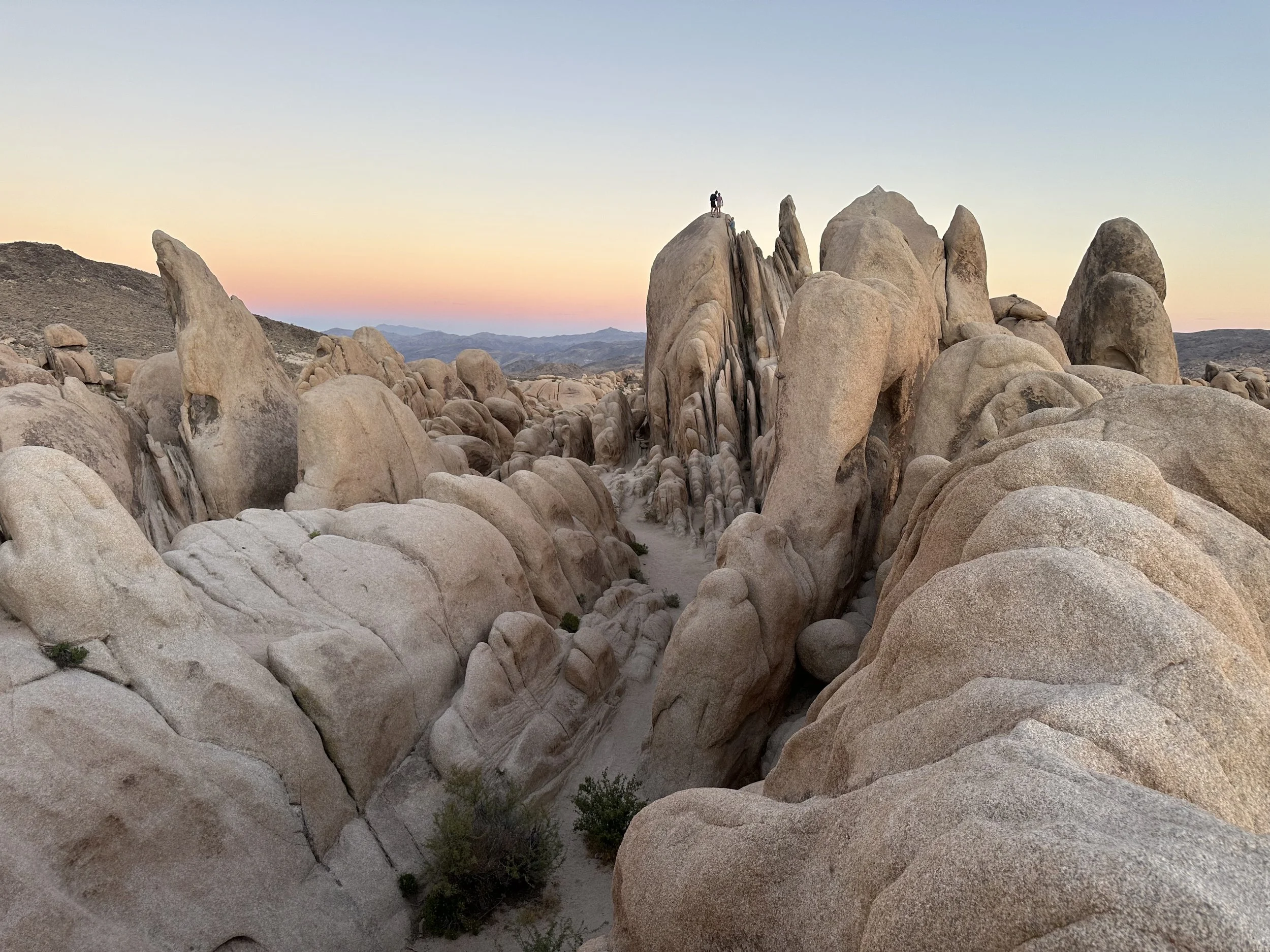 Sculpted granite rock formations in Joshua Tree National Park at sunset, with dramatic ridges and soft golden light.