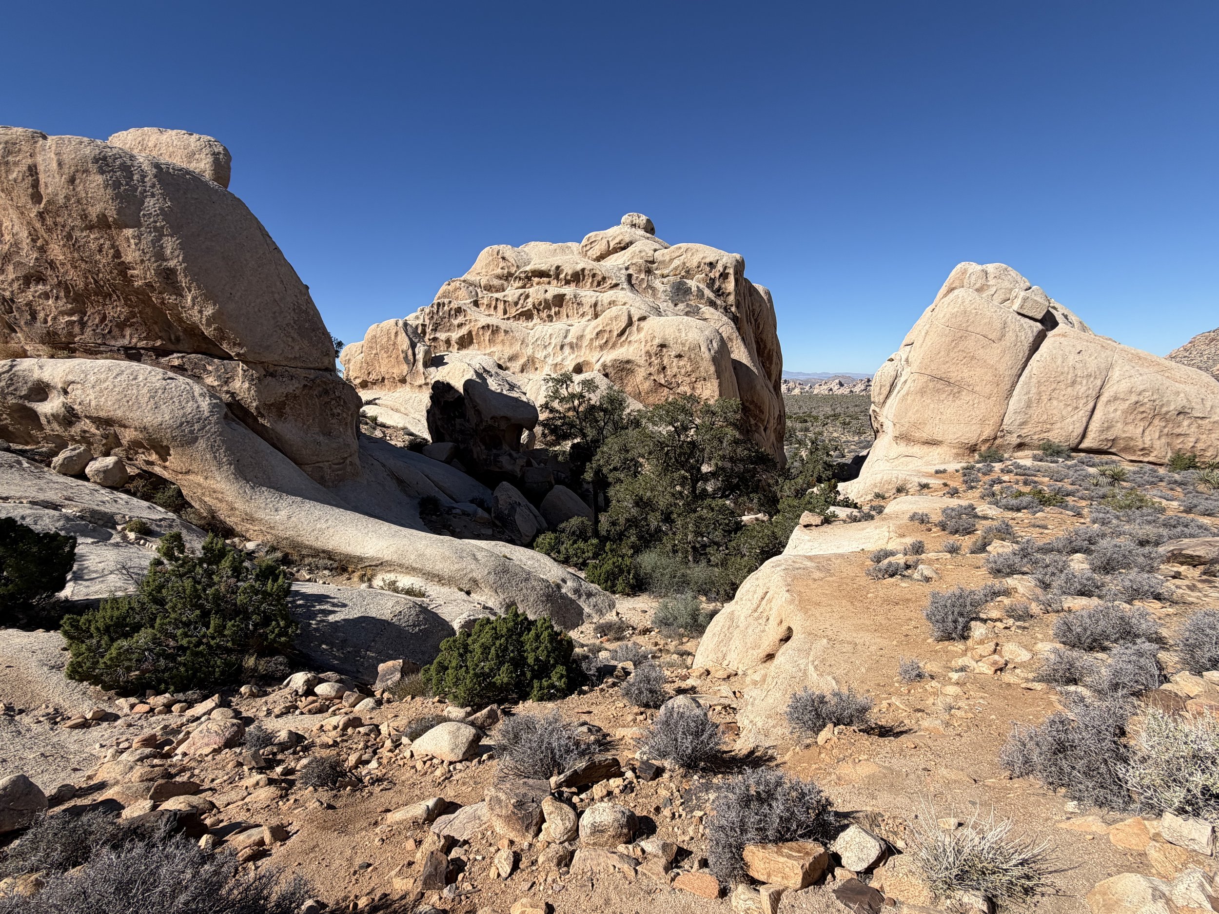 Sunlit boulder formations and desert vegetation in Joshua Tree National Park under a deep blue sky.