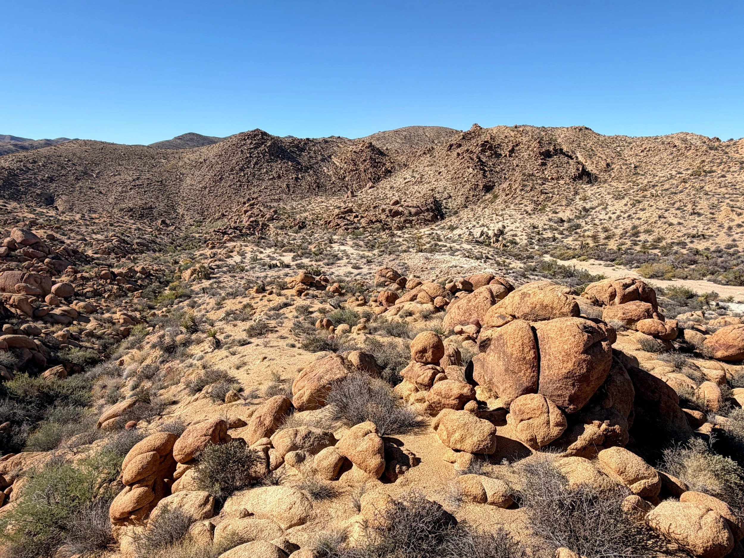 Expansive Joshua Tree desert landscape with rounded boulder formations and native shrubs under bright midday light.