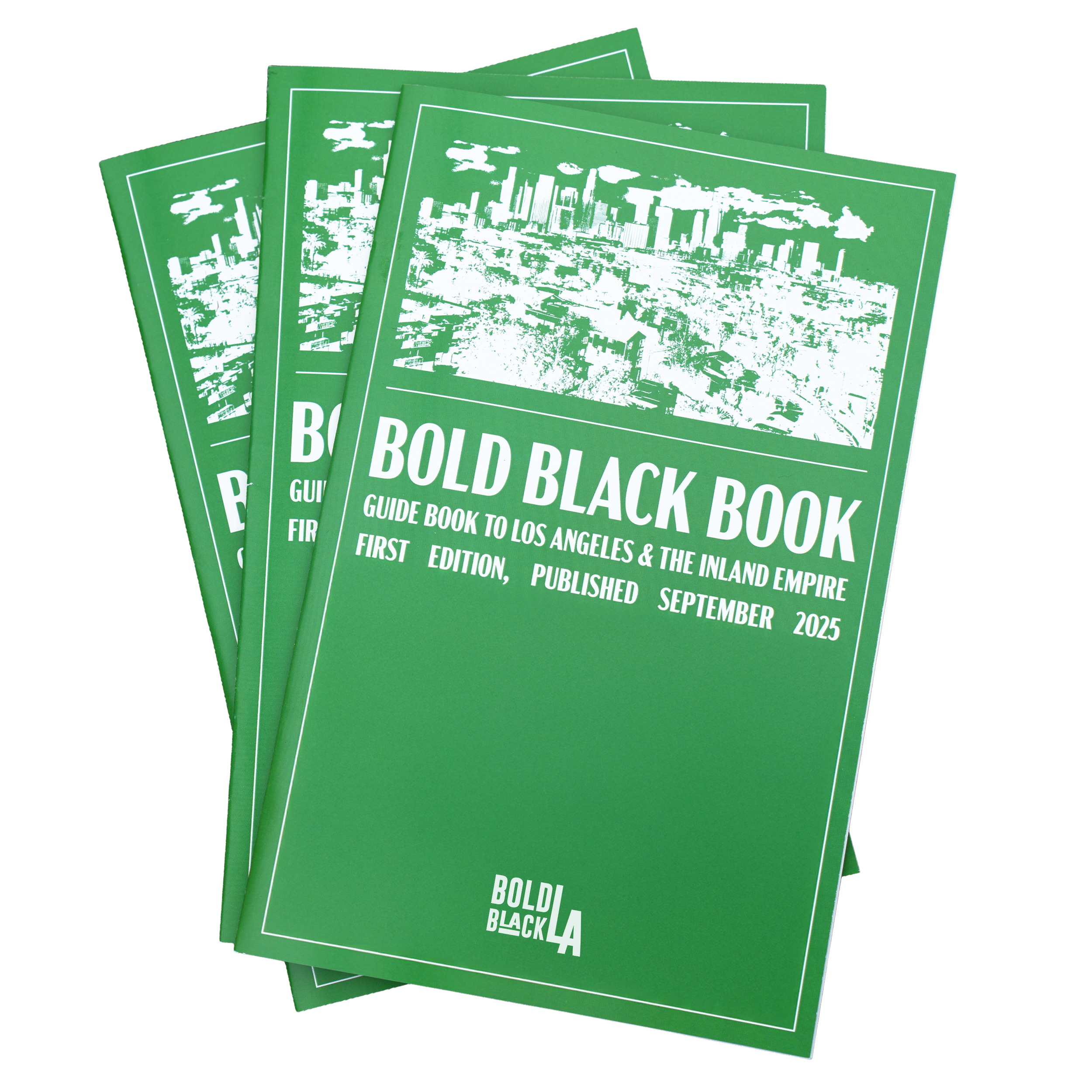 Bold Black LA Book