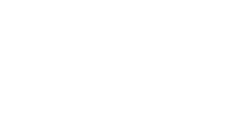 Black Freedom Fund Logo