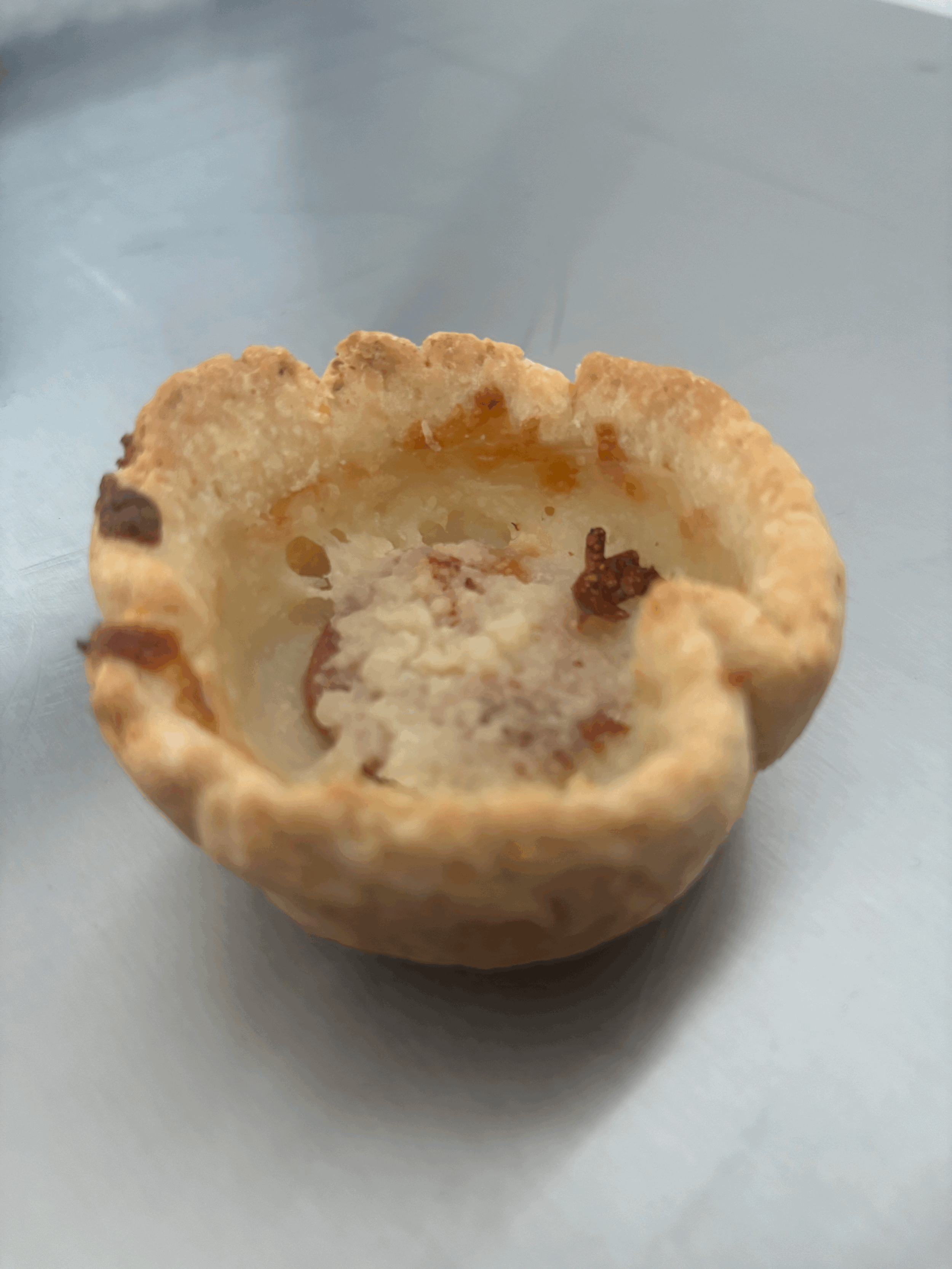 tempImage0ZEG4z.gif (Copy) (Copy)