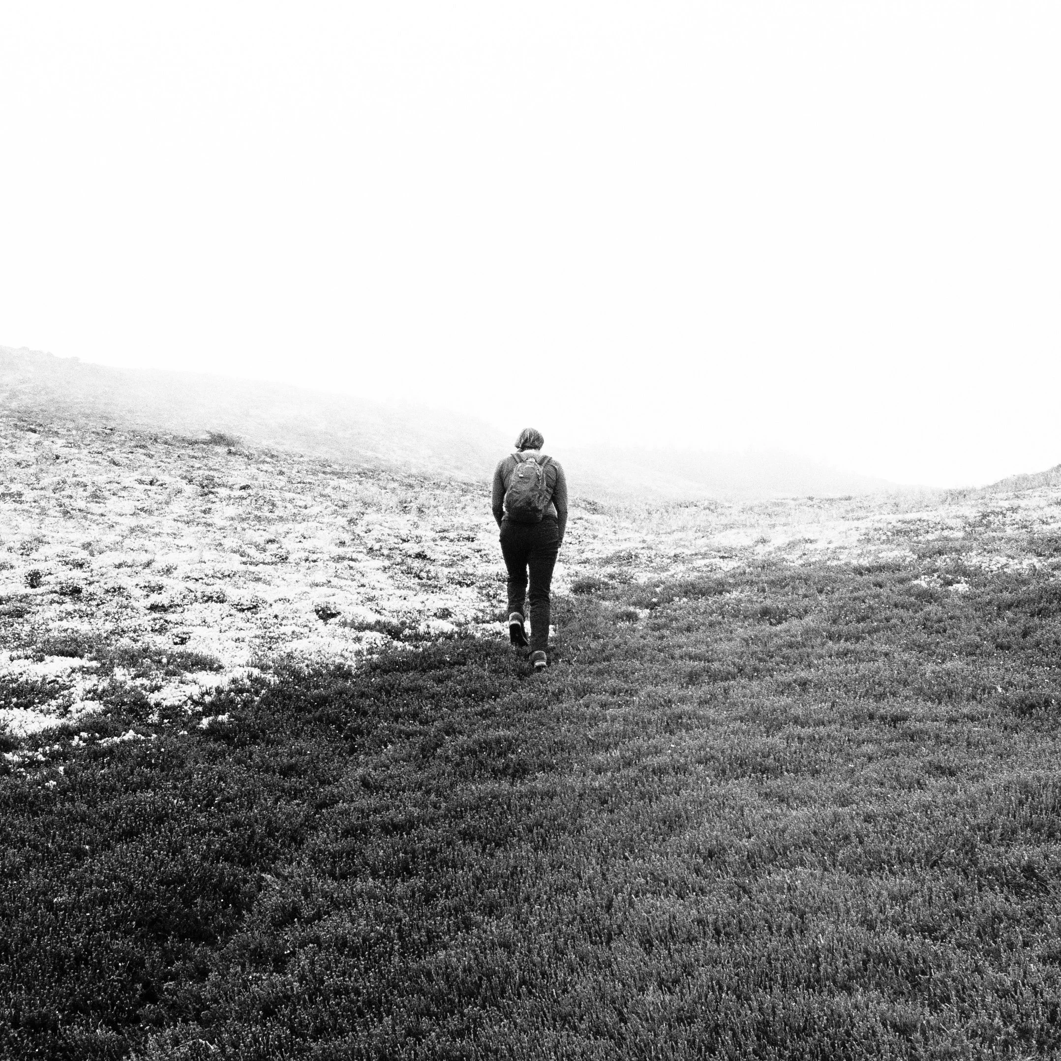 Person hiking on a grassy trail in a foggy landscape