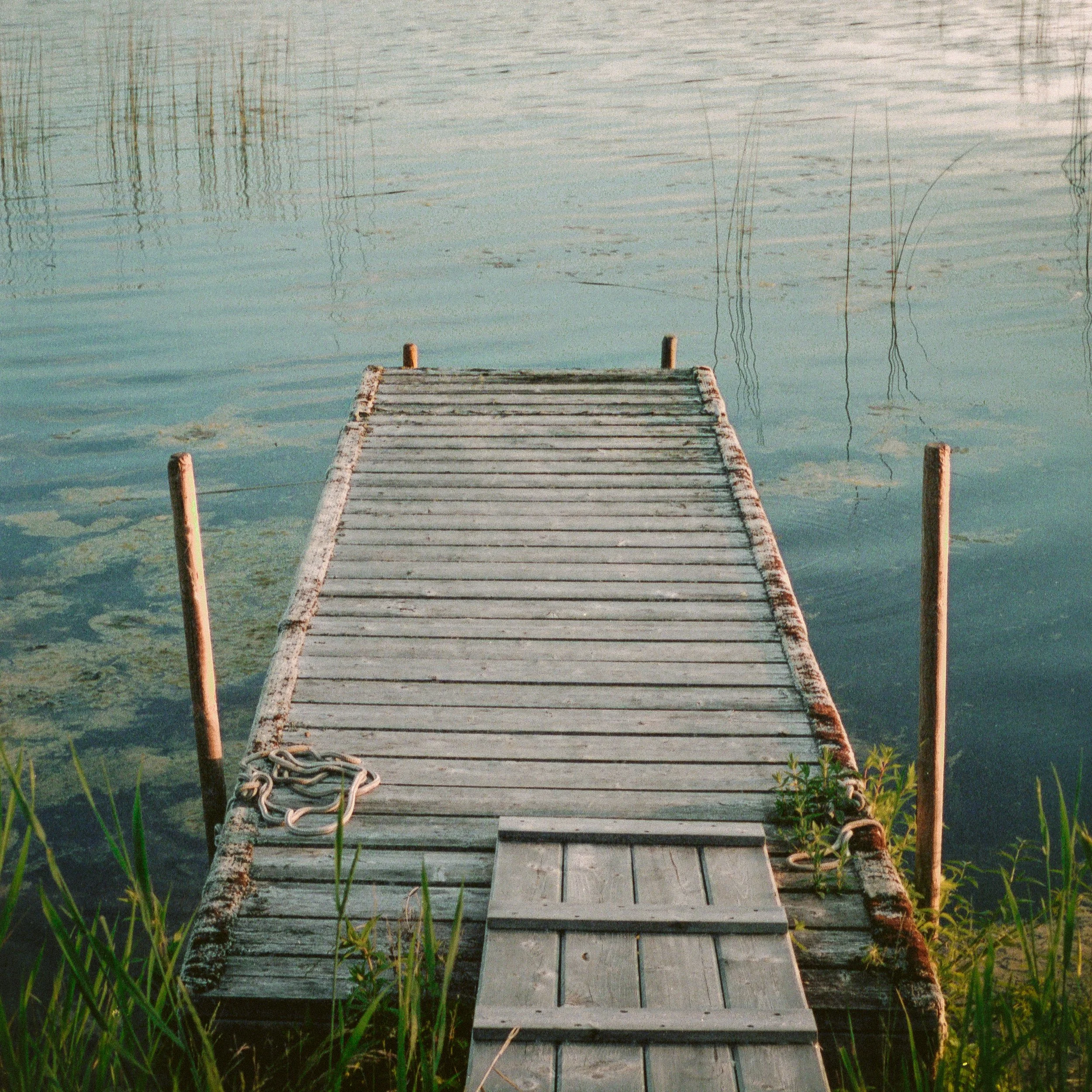 A wooden dock extending over calm water with reflections of reeds and masts in the background.