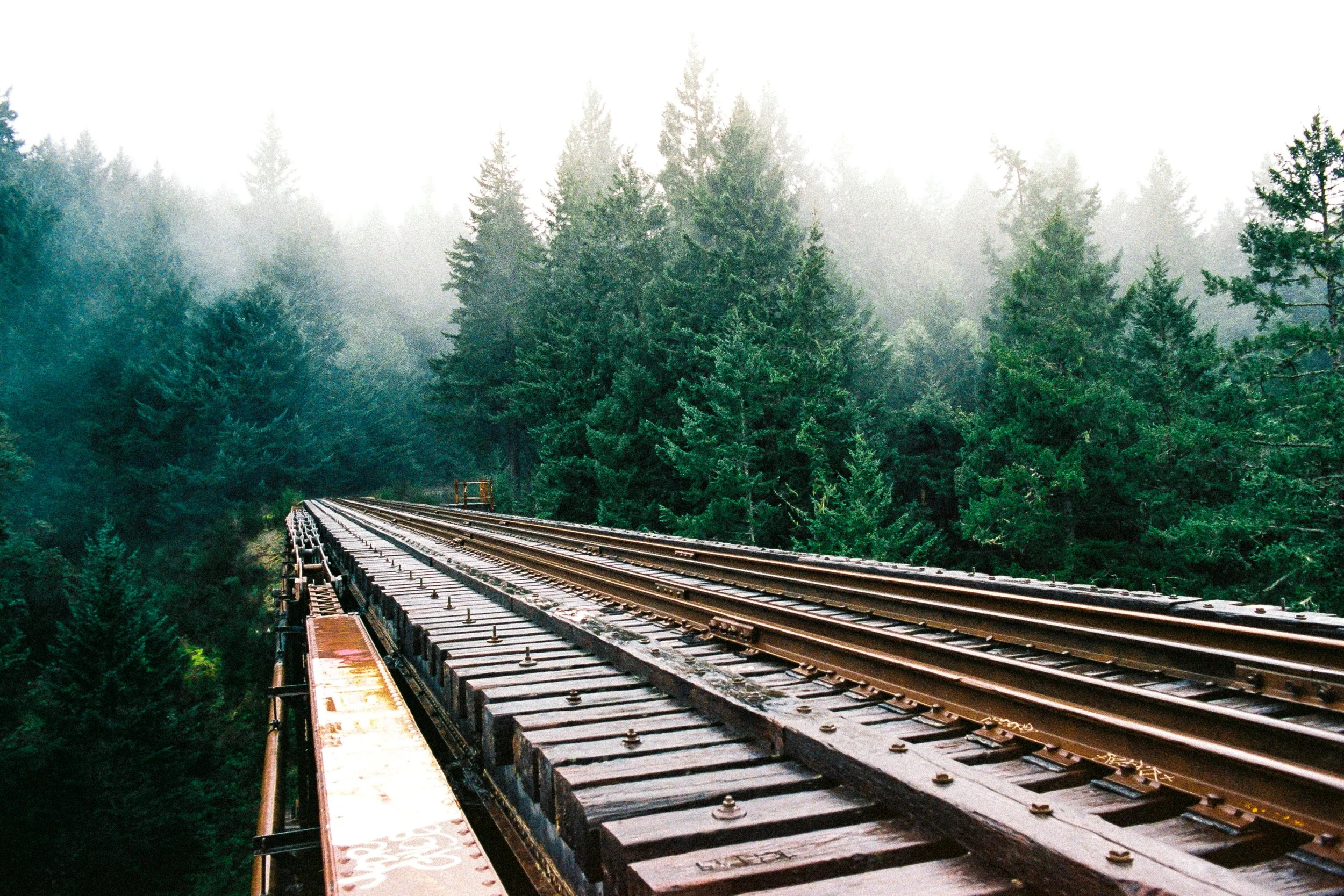 A railway track crossing over a forested area with tall evergreen trees and fog in the background.