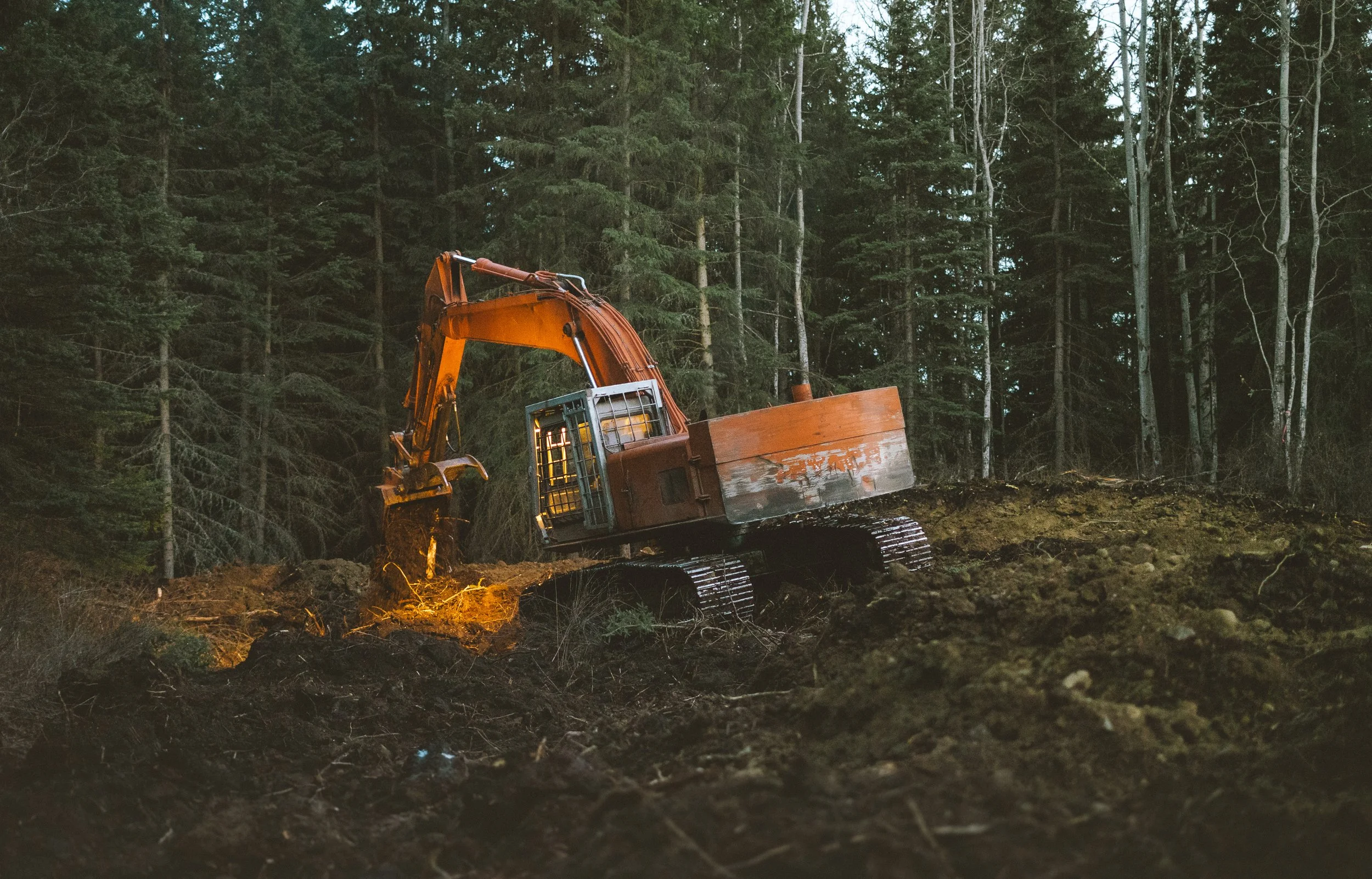 An orange excavator working in a forest clearing at dusk, digging into the dark soil surrounded by trees.