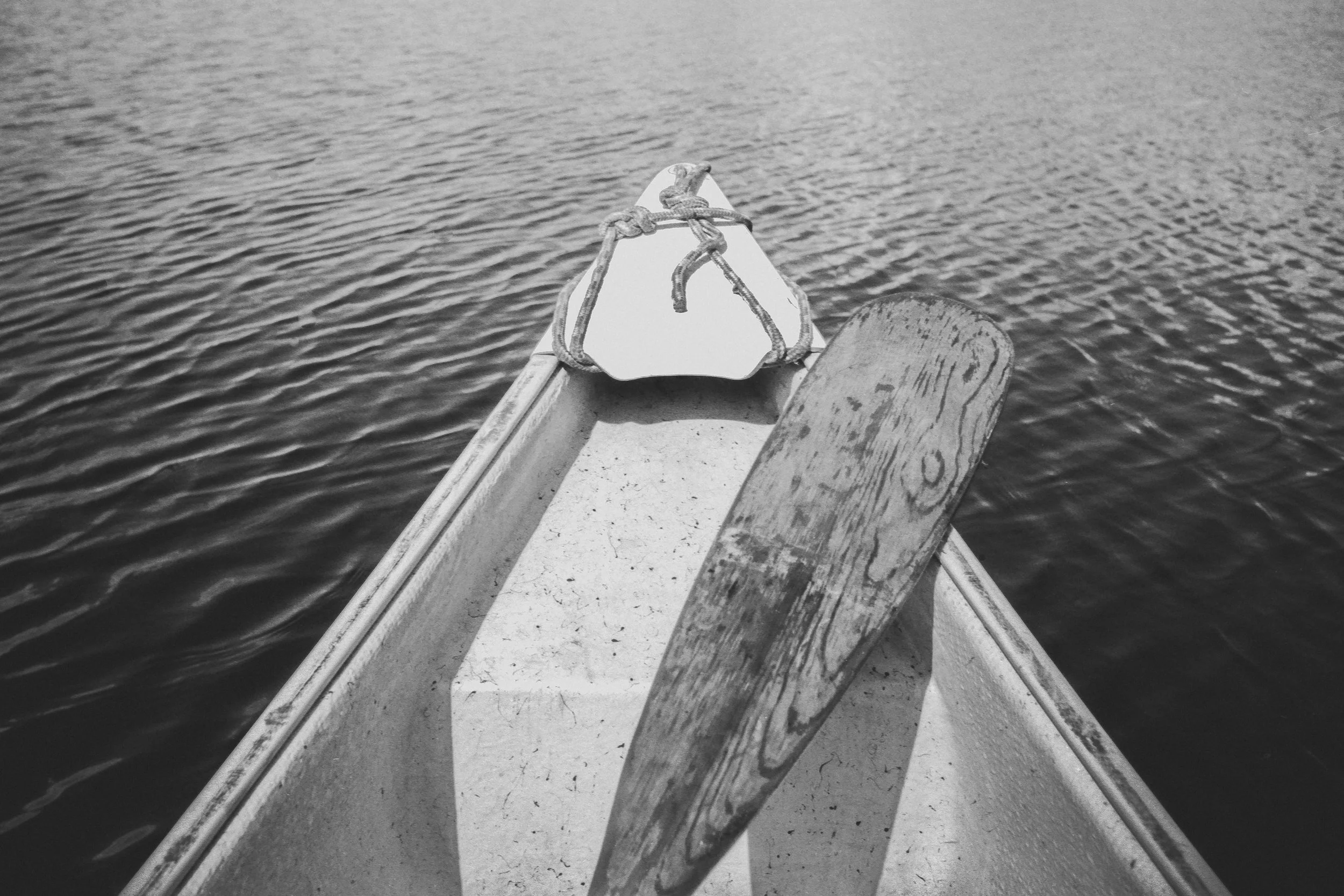 Front view of a canoe with a wooden paddle inside, floating on water.
