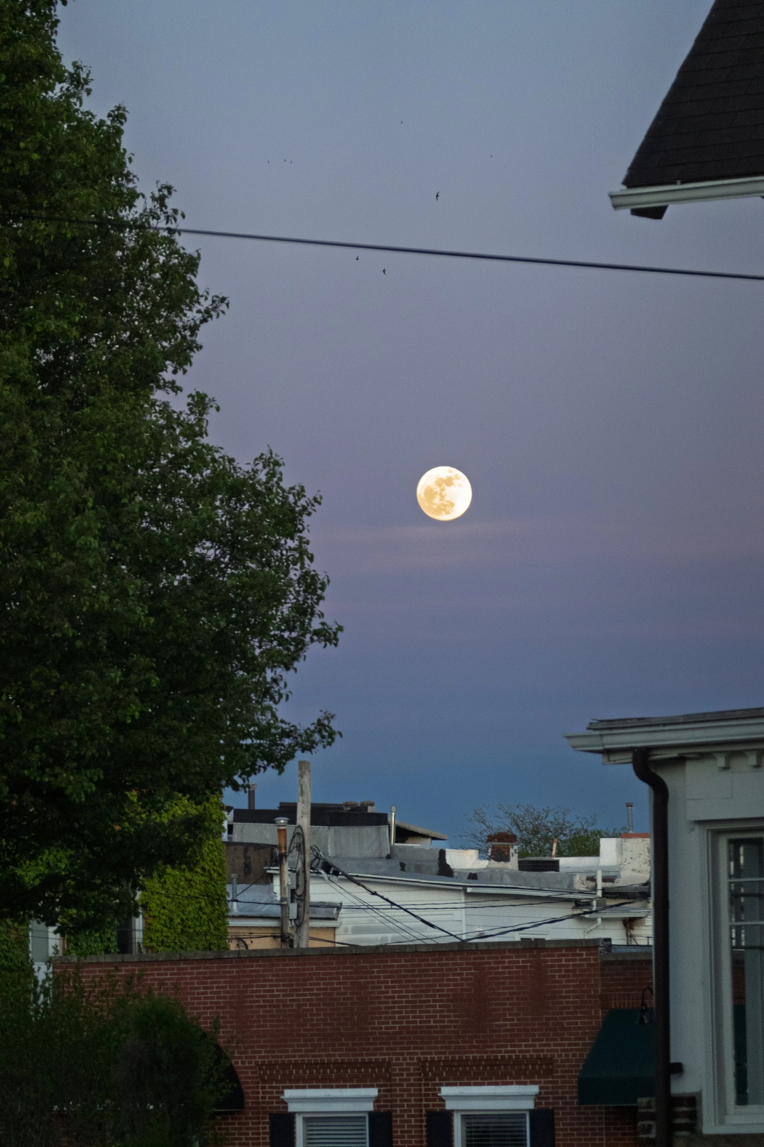 Moon on Mothers Day.jpg
