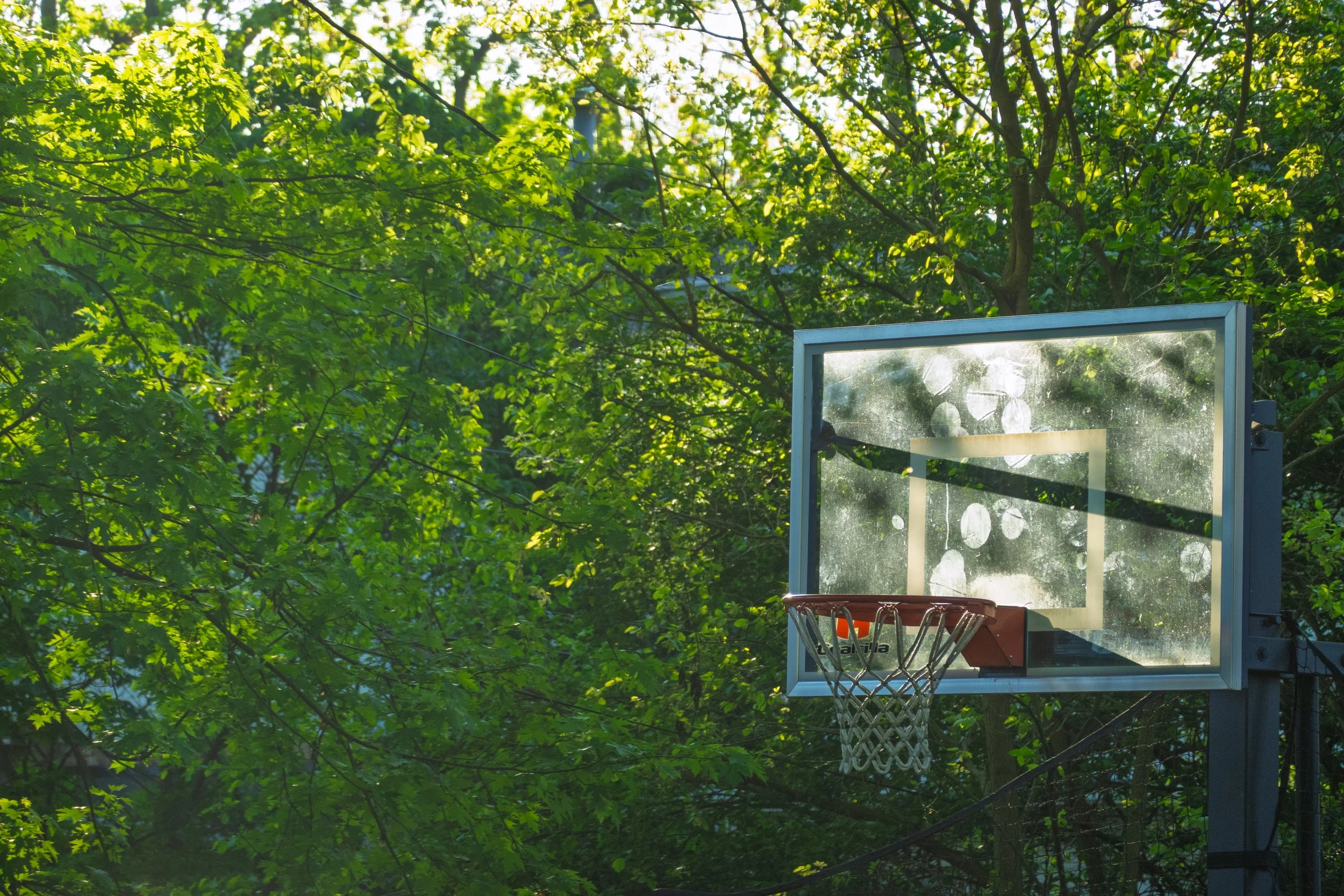 Basketball hoop on Mothers Day.JPG