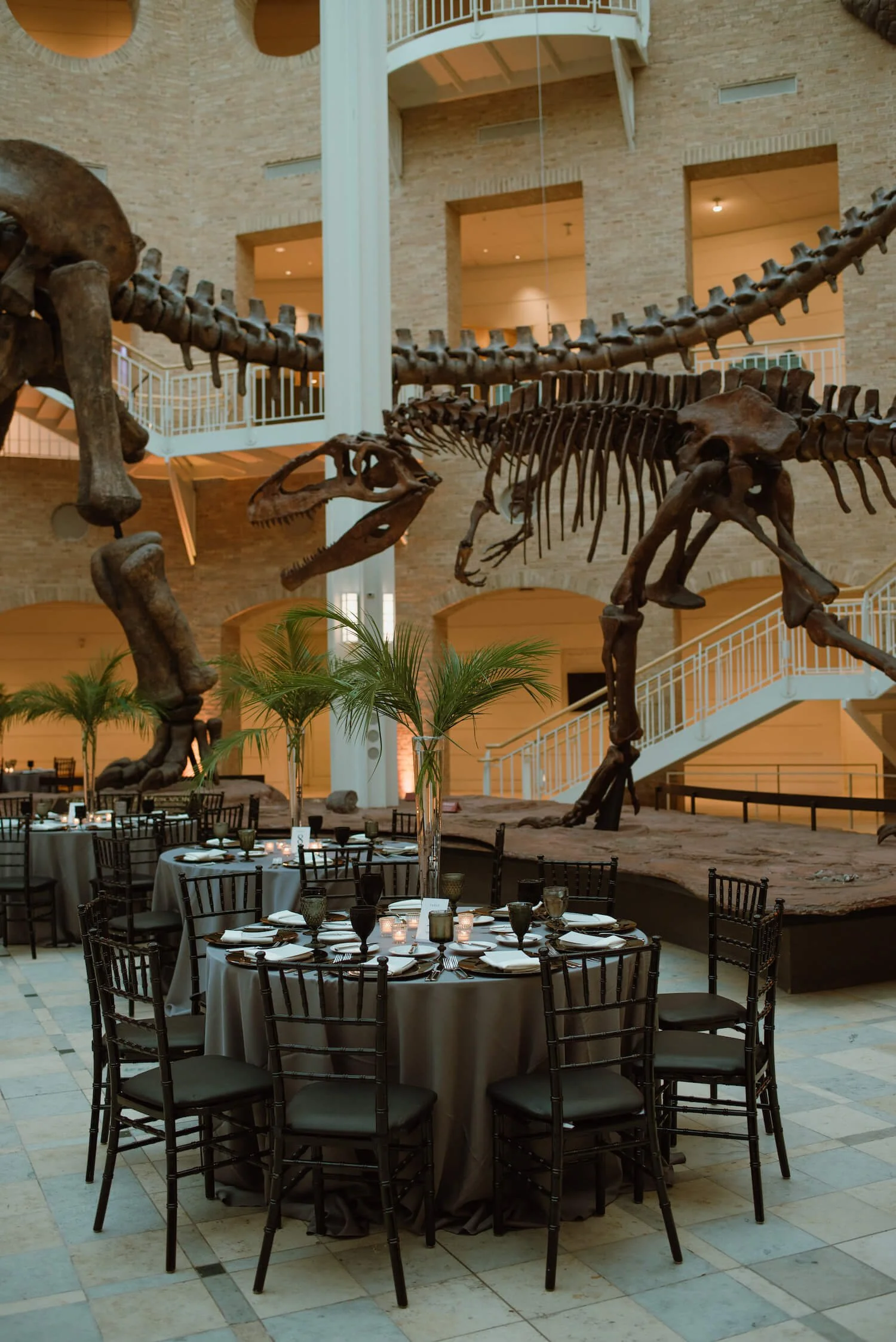 Fernbank Museum (1).jpg