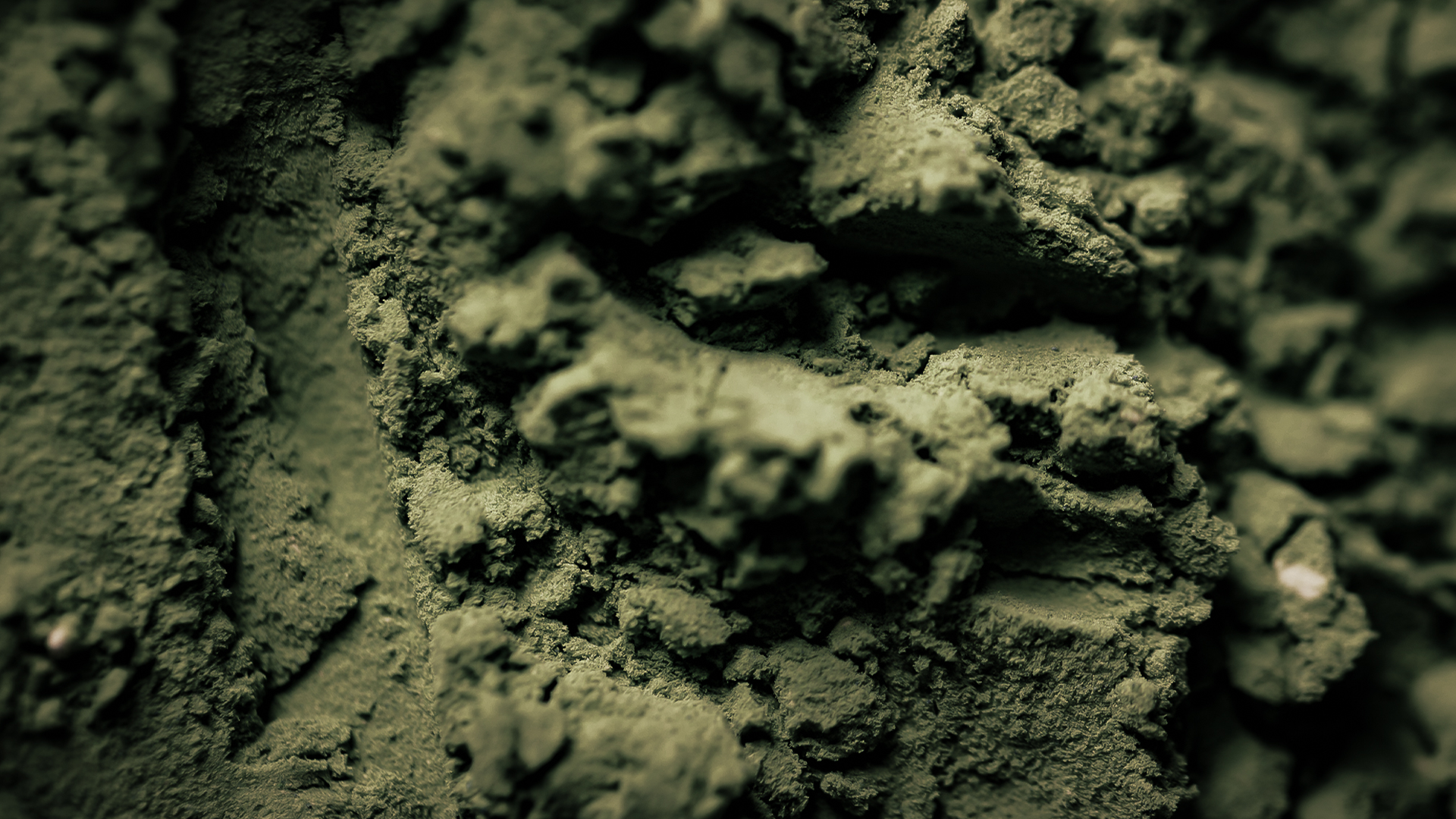 Imagem de uma substância em pó de cor verde escura, com textura granulada e irregular.