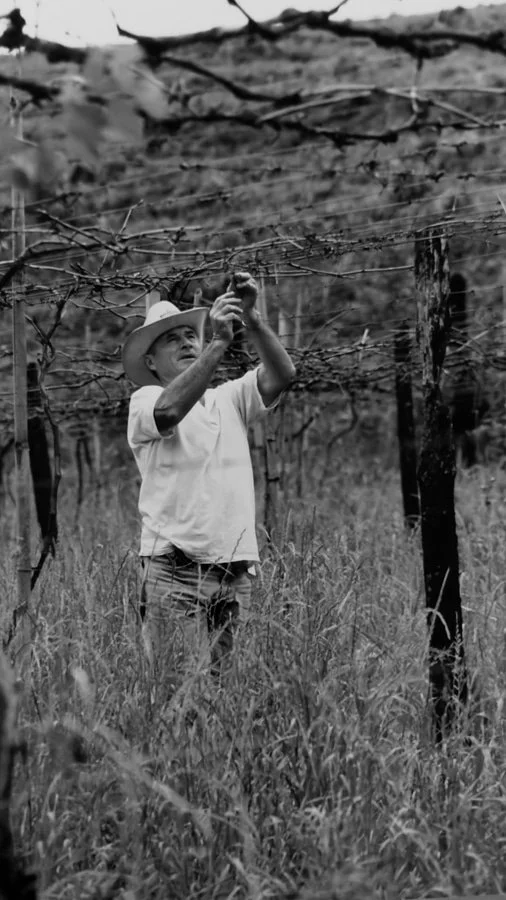 Homem jovem usando chapéu, observando plantas no campo.