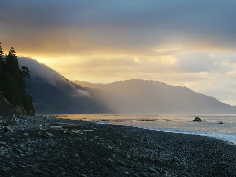 FORCE OF NATURE - SILENCE