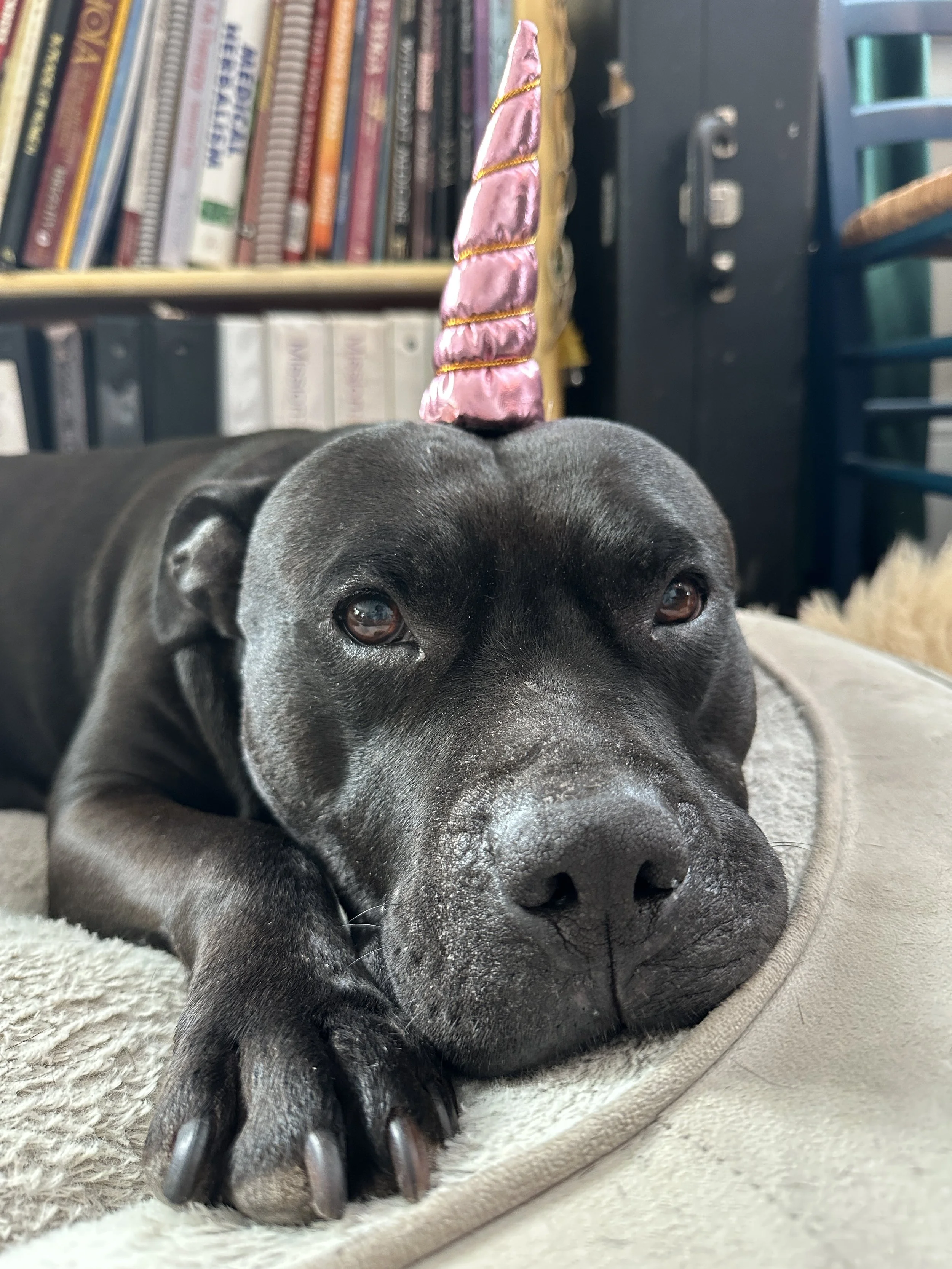 Natural Migraine Headache Relief