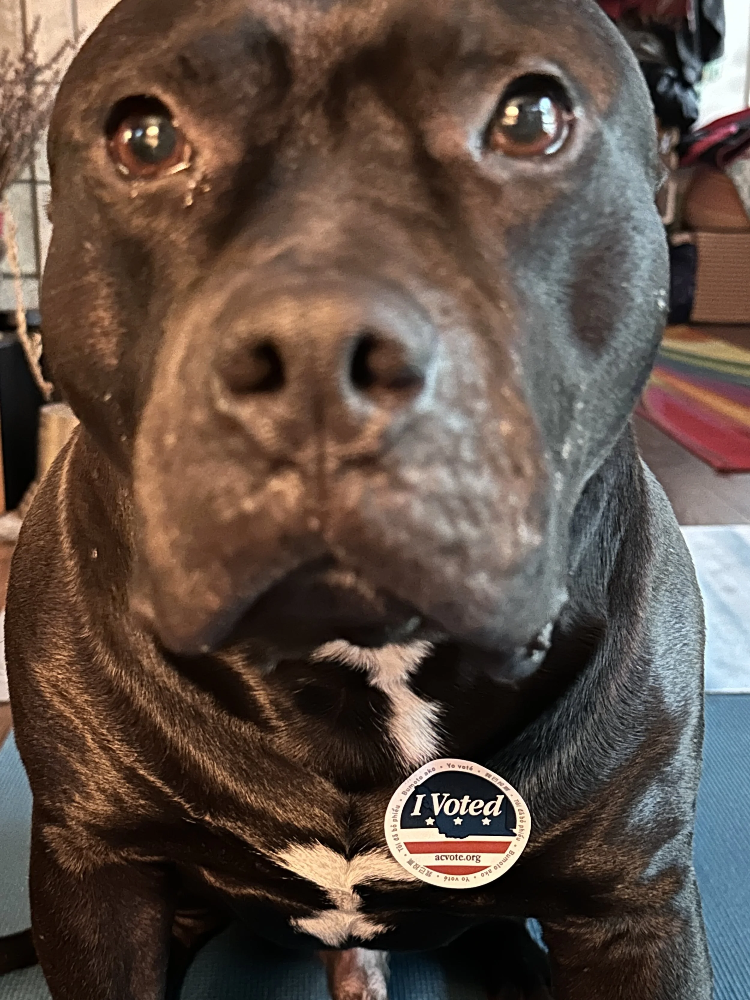 ELECTION NIGHT sets my heart alight w/LOVE REVOLUTIONARY POETRY