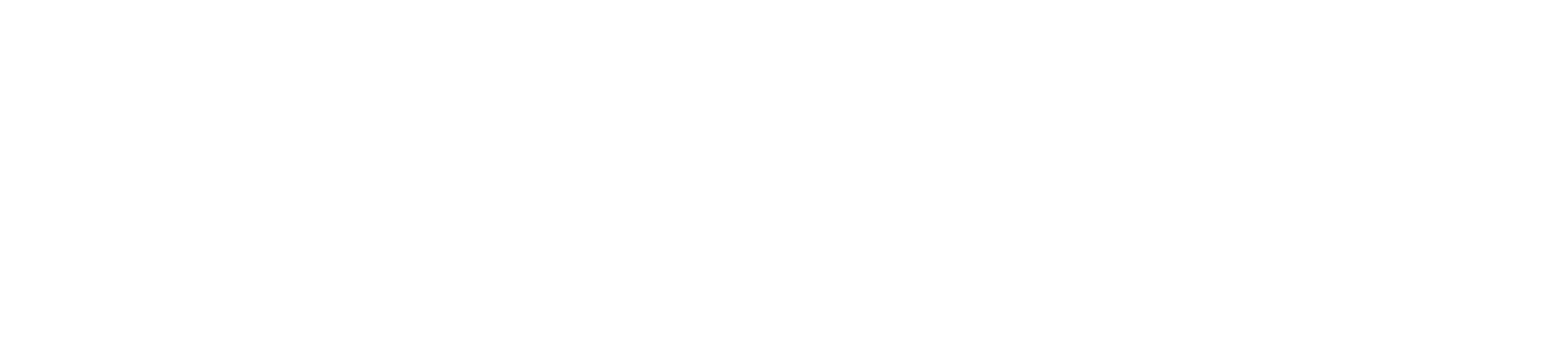 TheWoobles_Logo_AW_White.png
