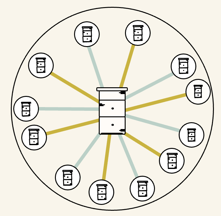 Diagram with a large, central beehive connected to a circle of smaller beehives, demonstrating the way a honey bee colony is connected to other colonies inside its foraging radius.