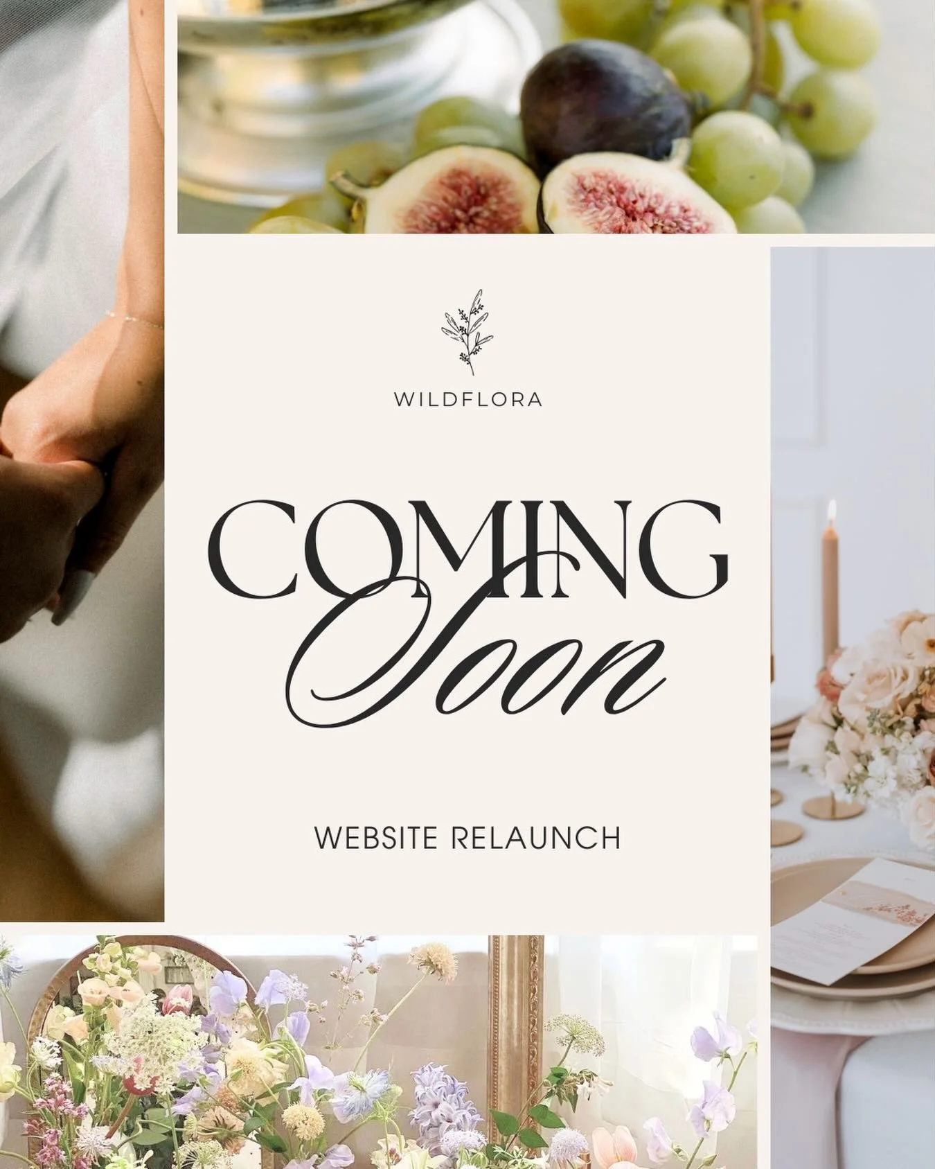 Our website is currently offline as we navigate to a BRAND NEW WEBSITE! ✨

Check back soon as we launch our new site with a very exciting promotion for our future couples!

We are really looking forward to walking through this next chapter of Wildfor