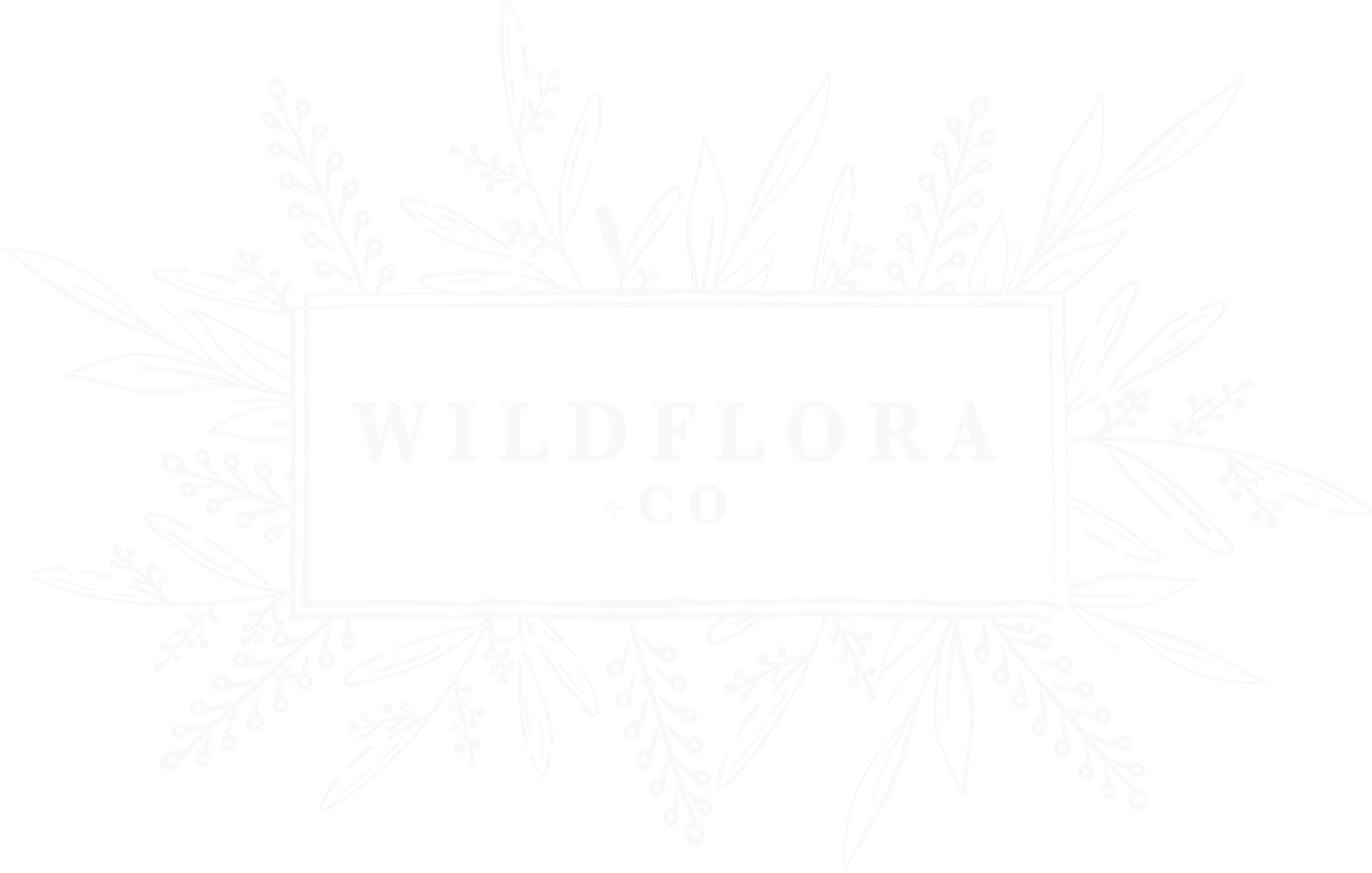 Black background with white botanical illustrations surrounding a rectangular frame, inside of which the text reads "WILDFLORA + CO".