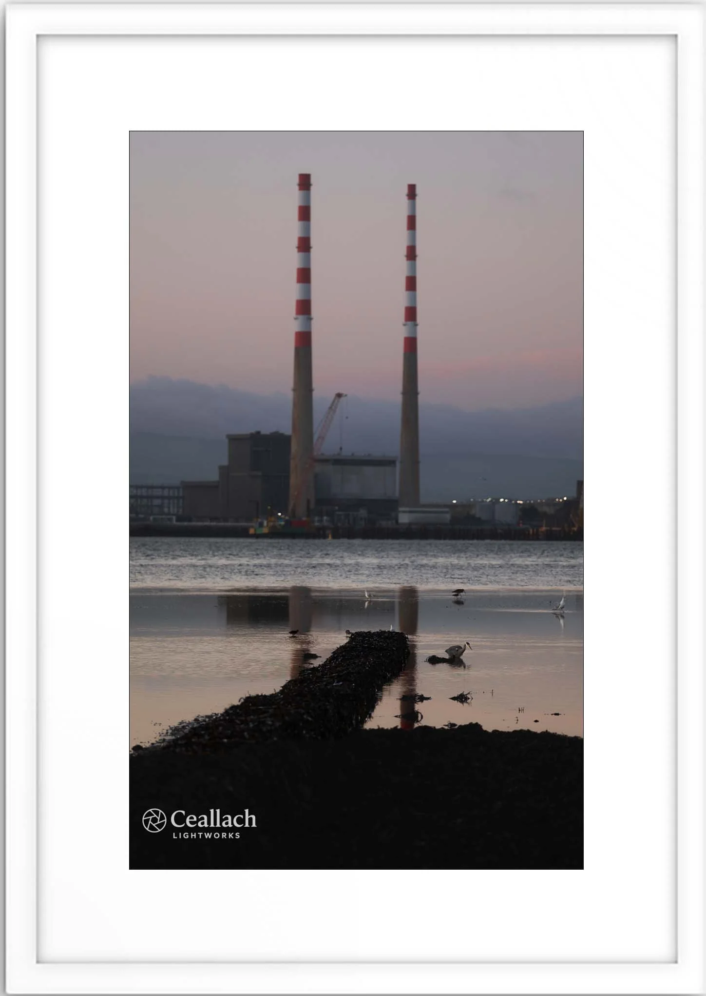 Steel and Silence: Reflections at the Edge of Industry