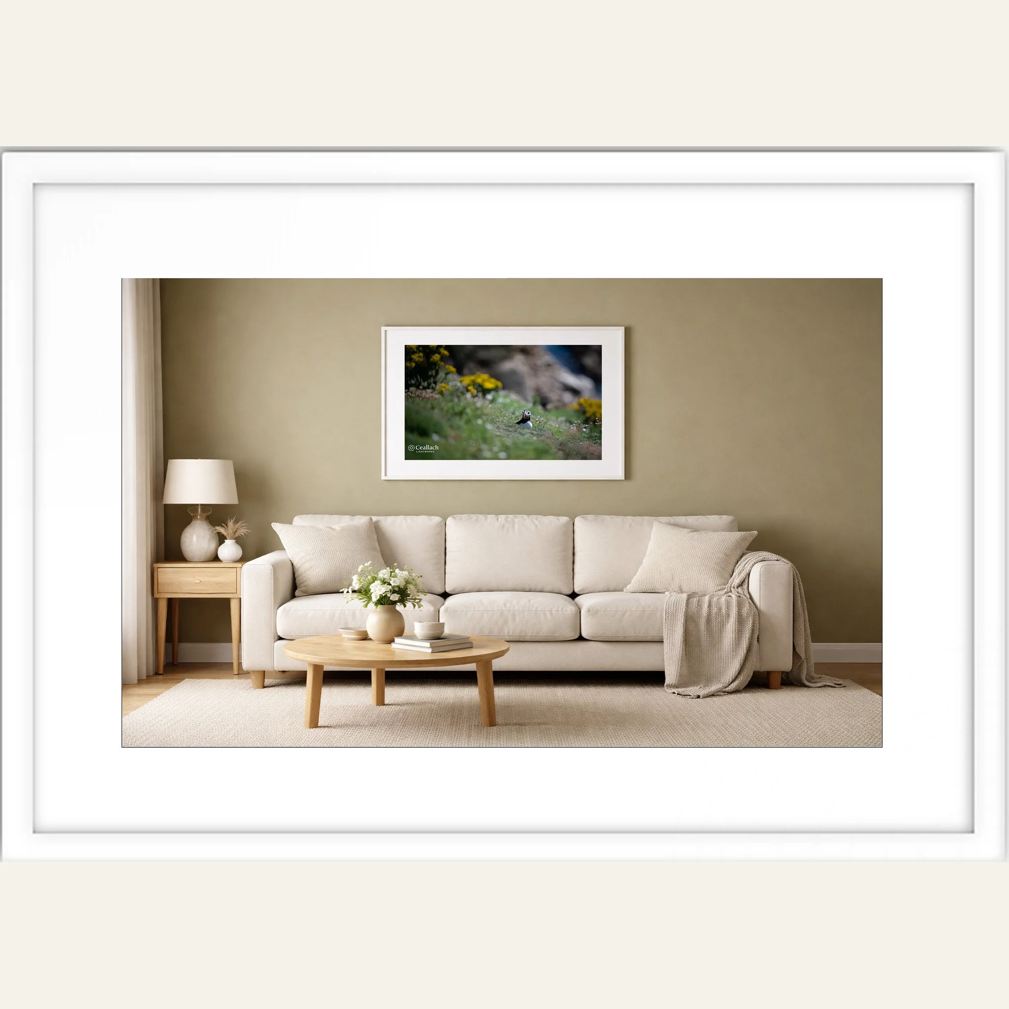 Living Room Puffin Looking out of burrow.jpg