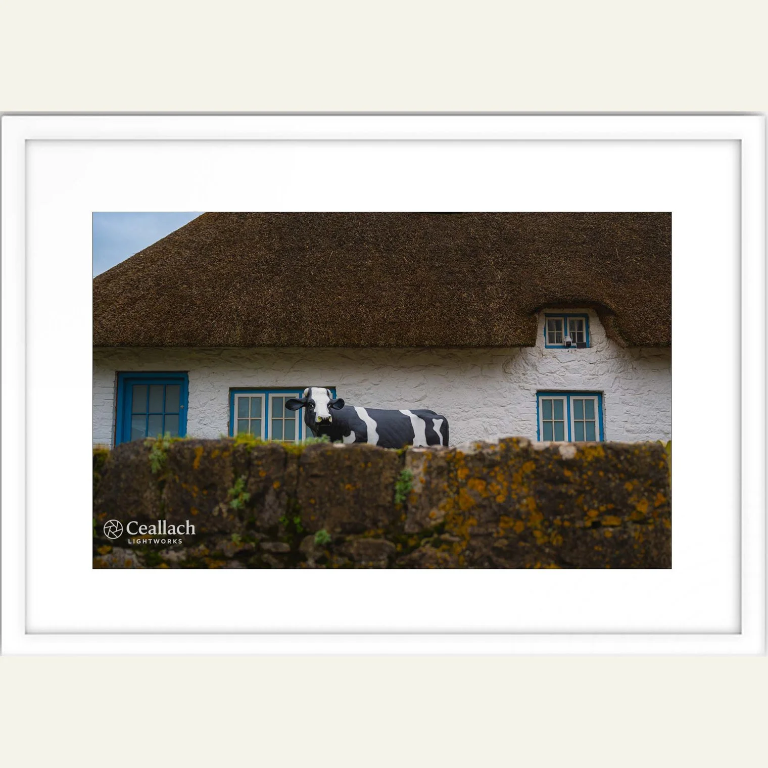 Cow Adare Framed.jpg
