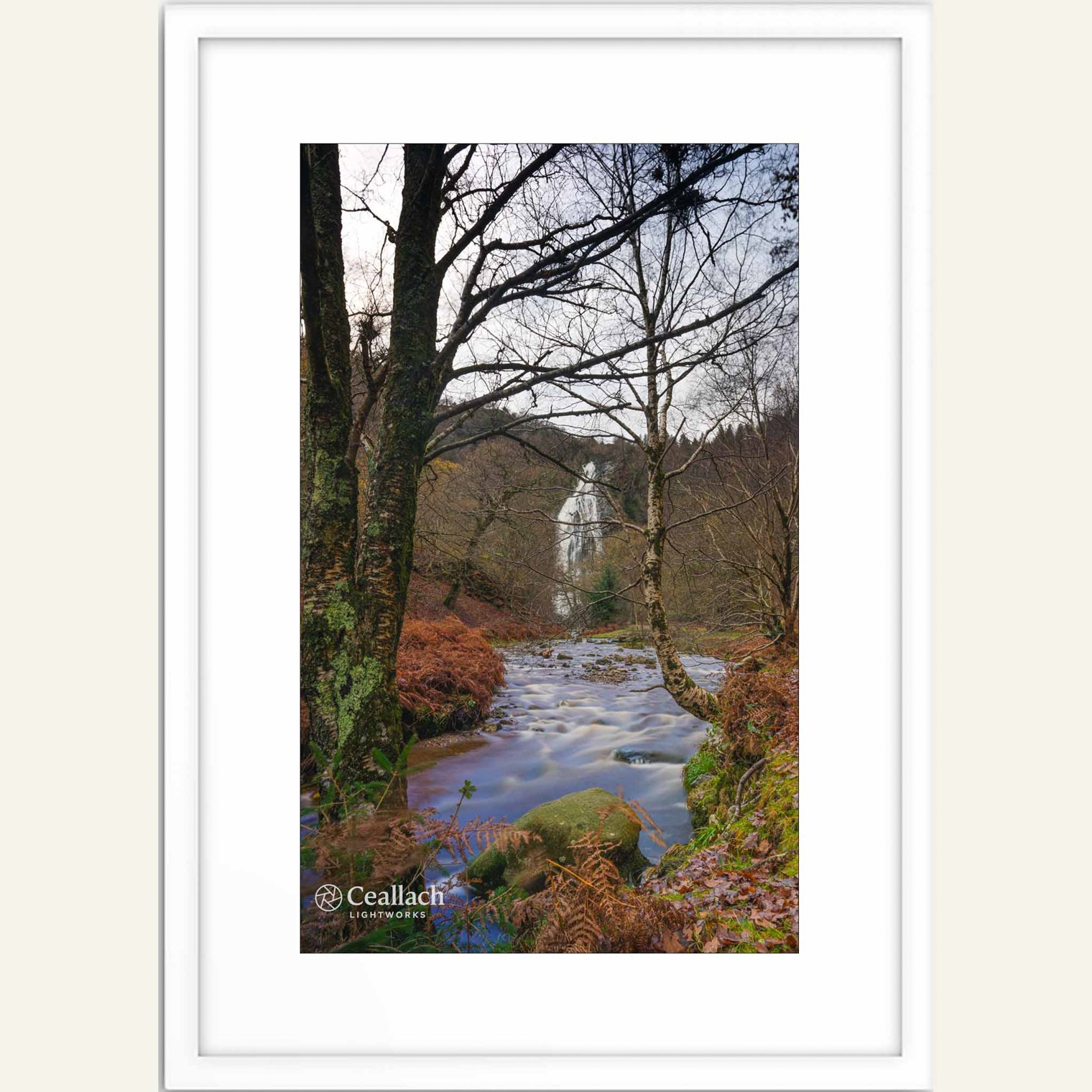 Powerscourt Waterfall 2.jpg