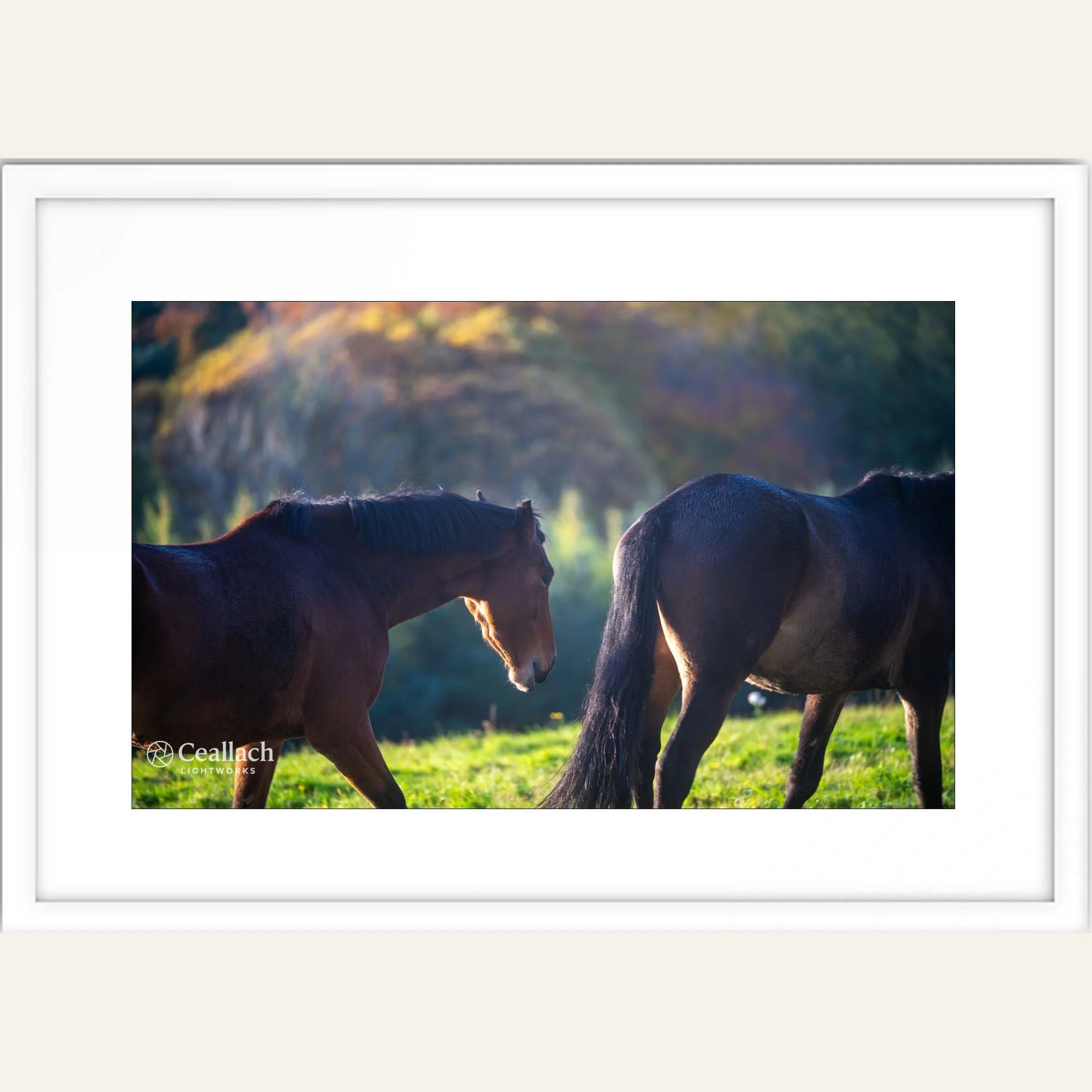 Horses Framed.jpg