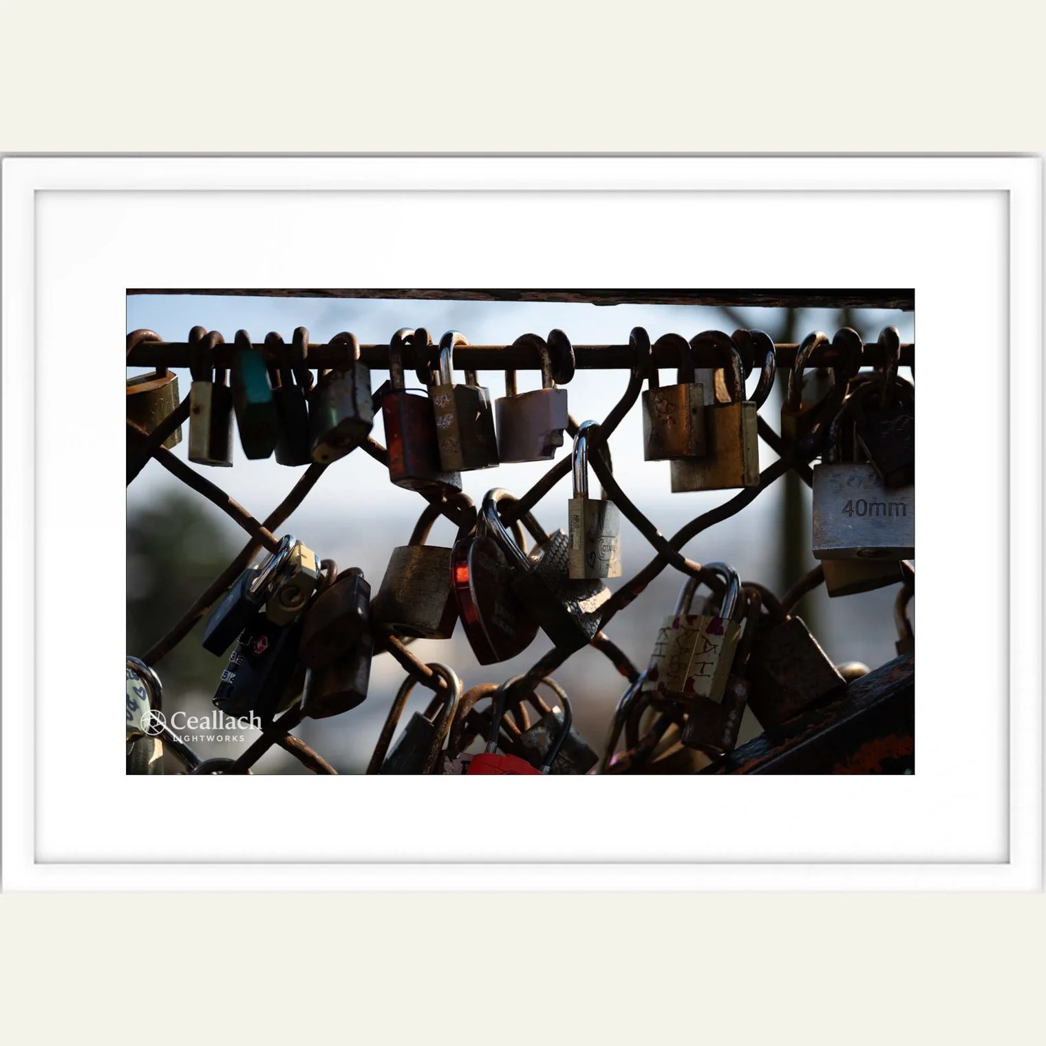 Love Locks Framed.jpg