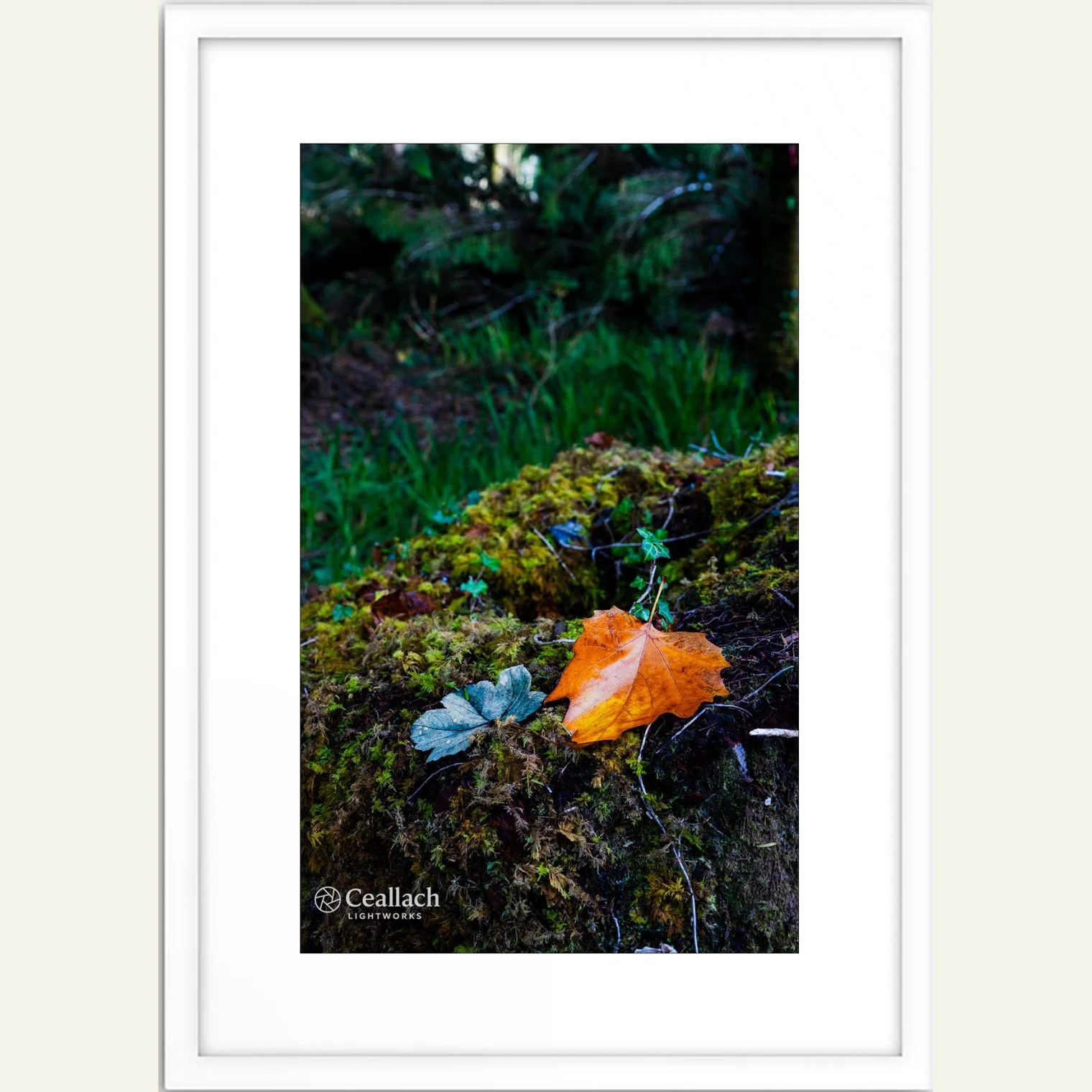 Autumn Leaves Framed.jpg